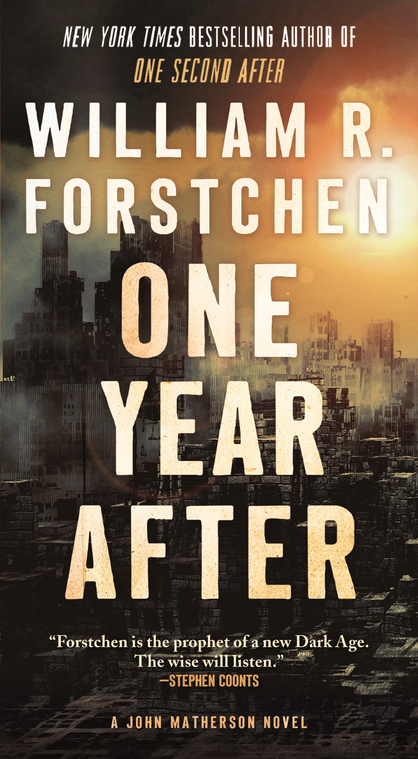 One Year After: A John Matherson Novel book cover