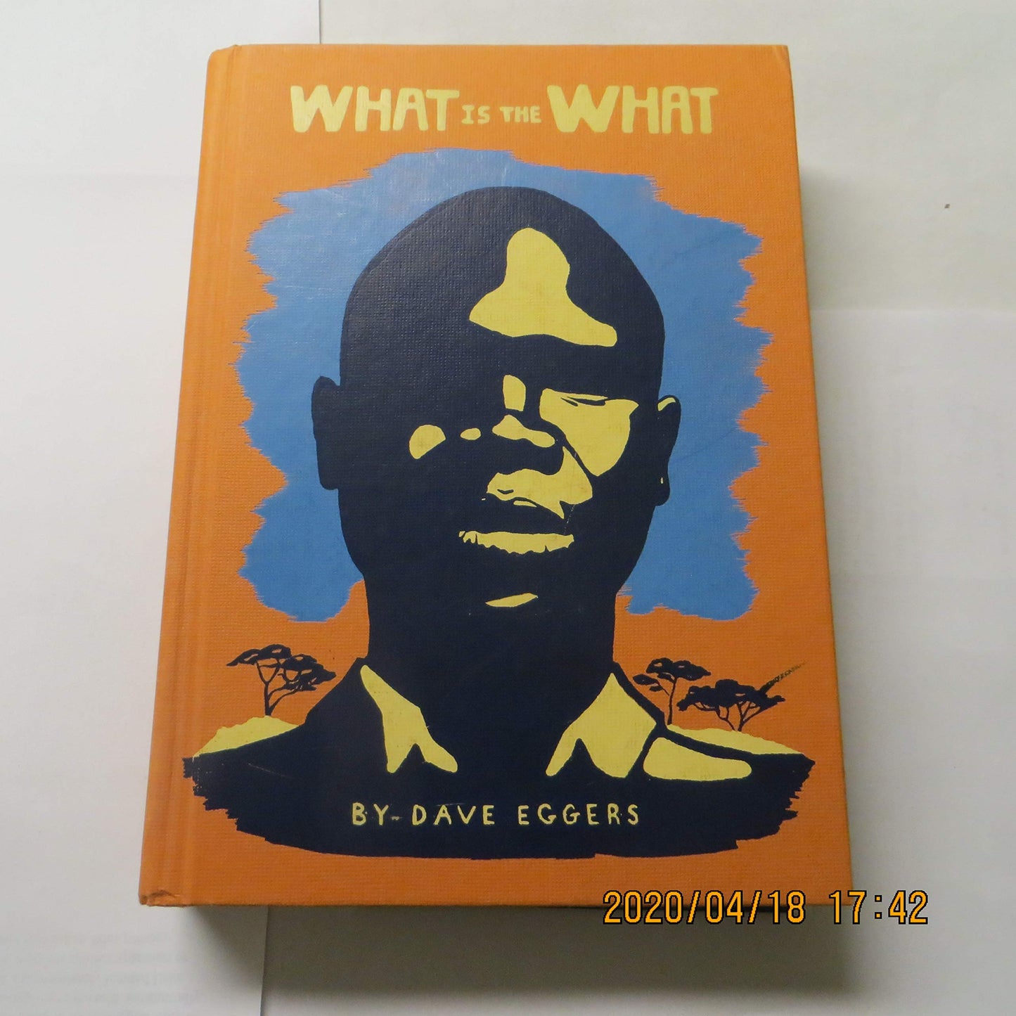 What Is the What book cover