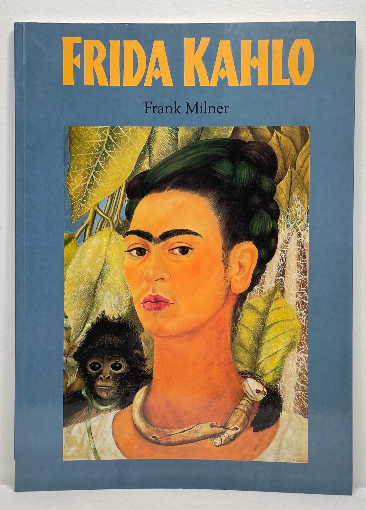 Frida Kahlo book cover