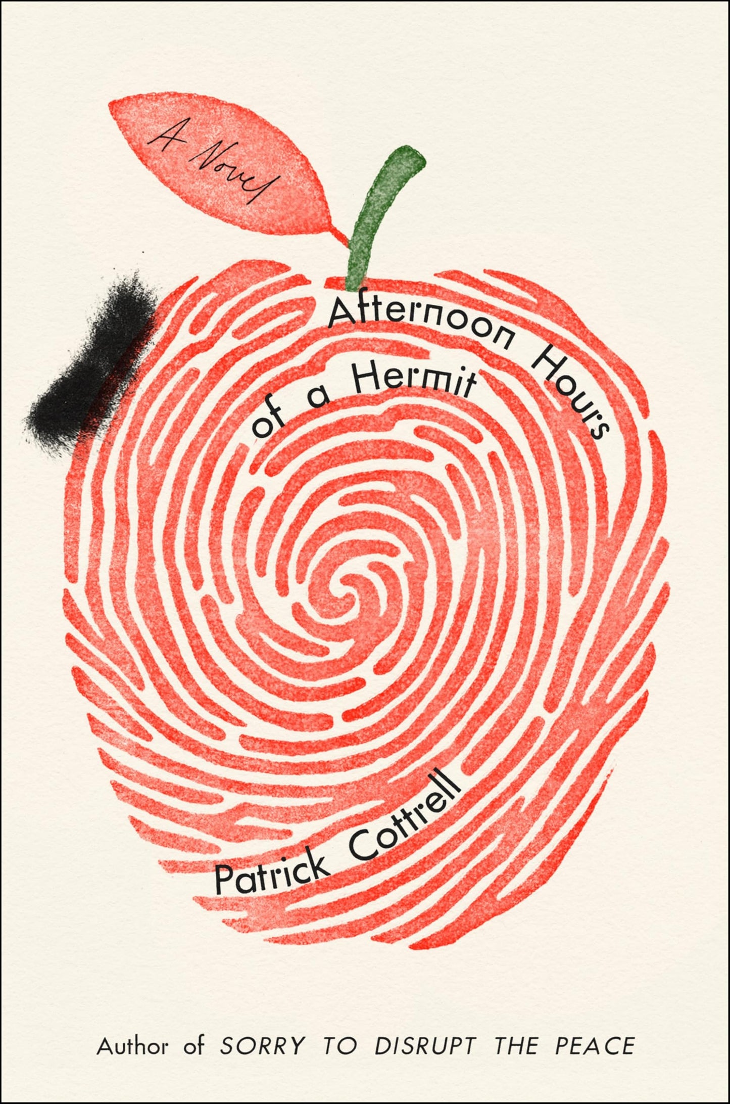 Afternoon Hours of a Hermit book cover