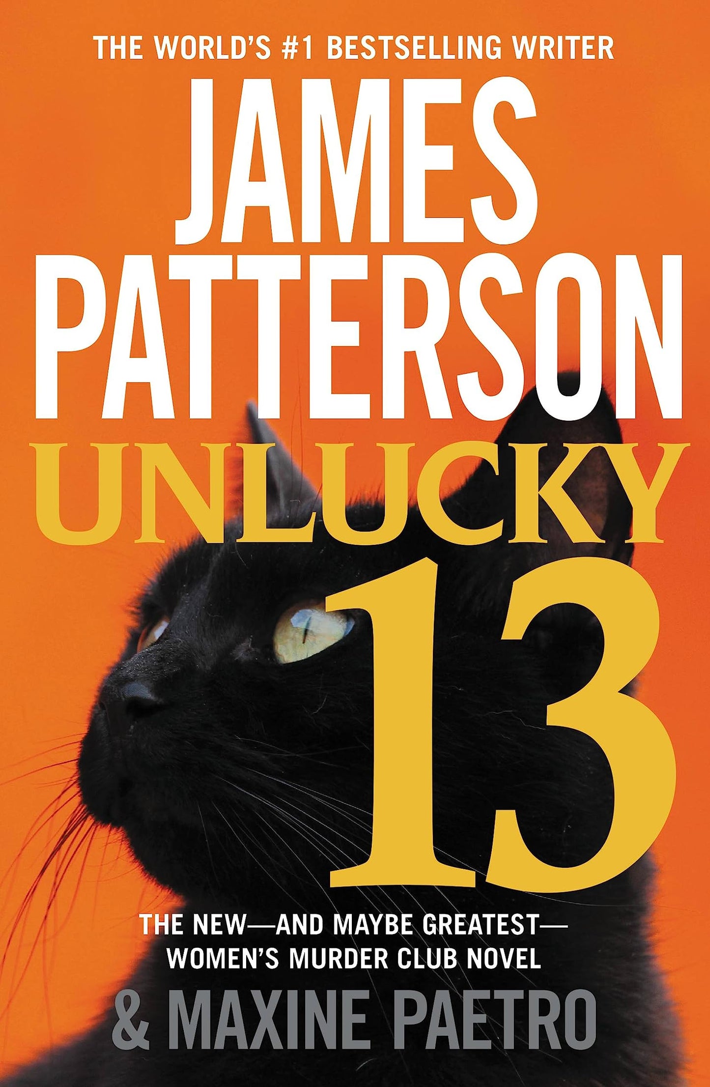 Unlucky 13 book cover