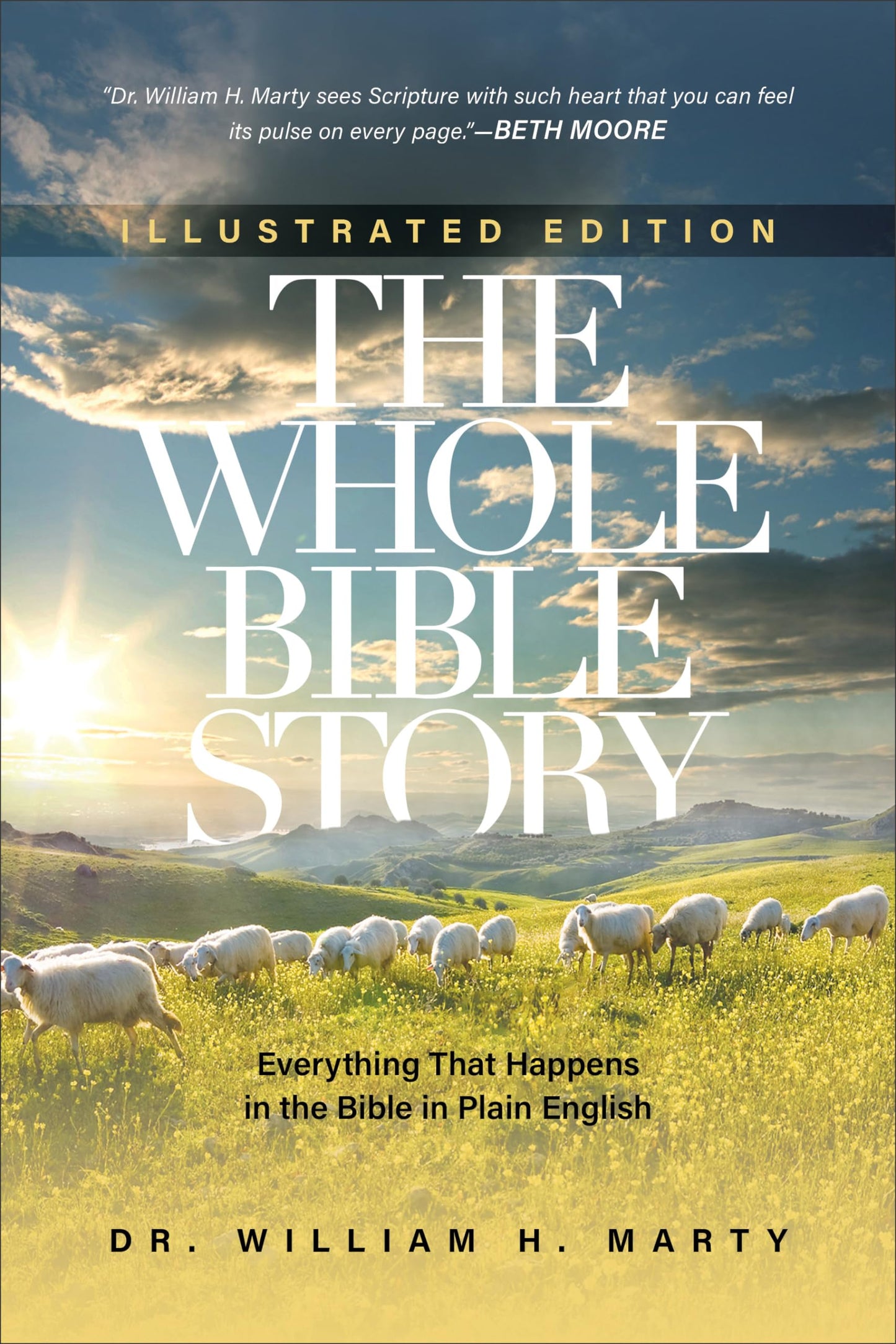 Whole Bible Story: Everything That Happens in the Bible in Plain English book cover