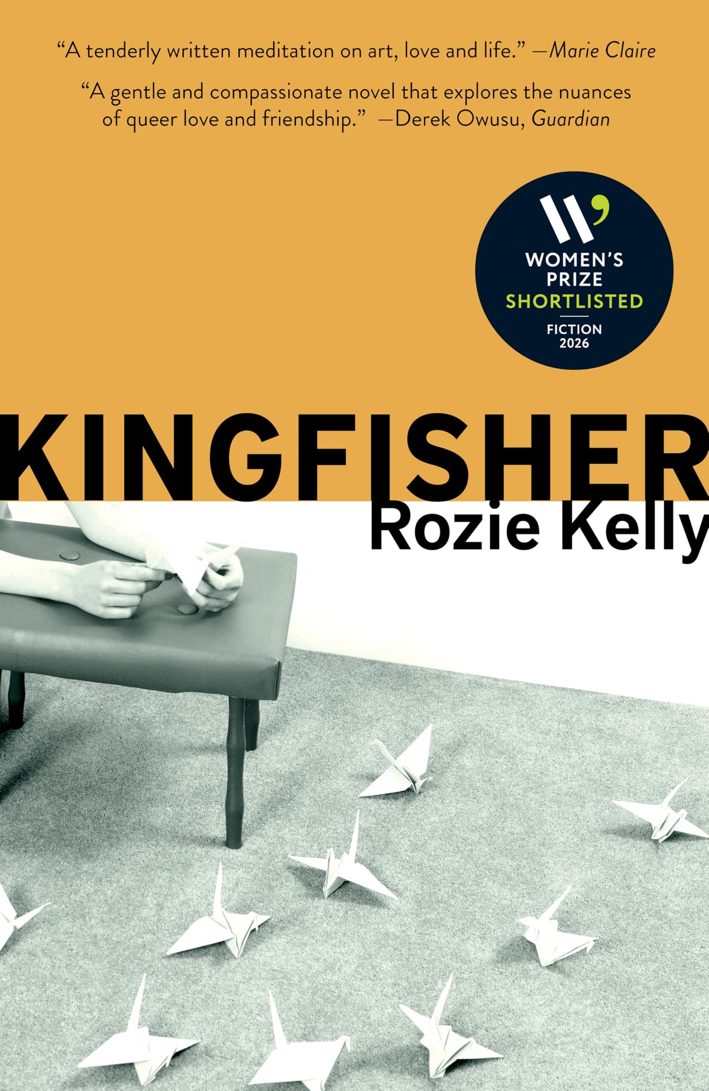 Kingfisher book cover