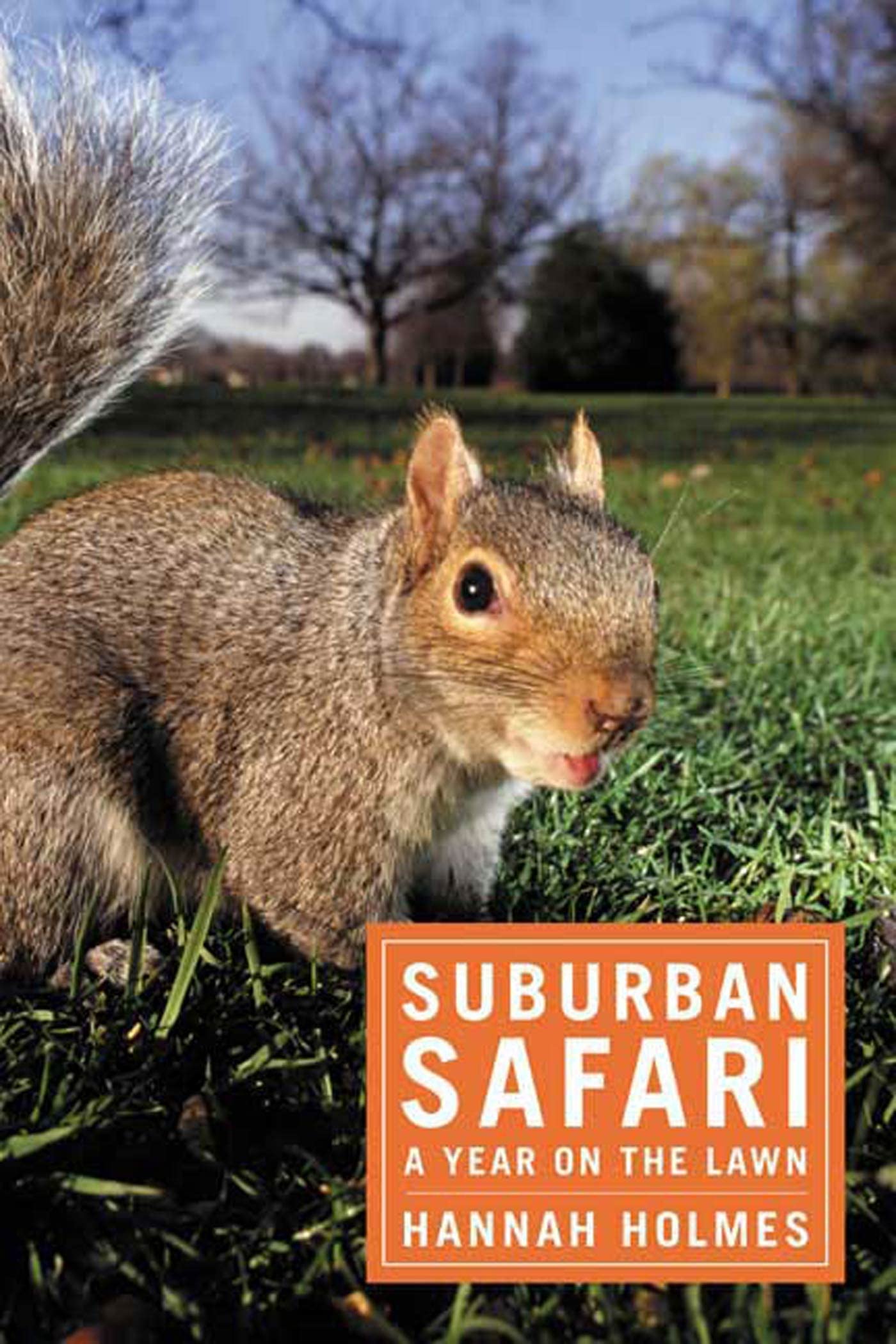 Suburban Safari: A Year on the Lawn book cover