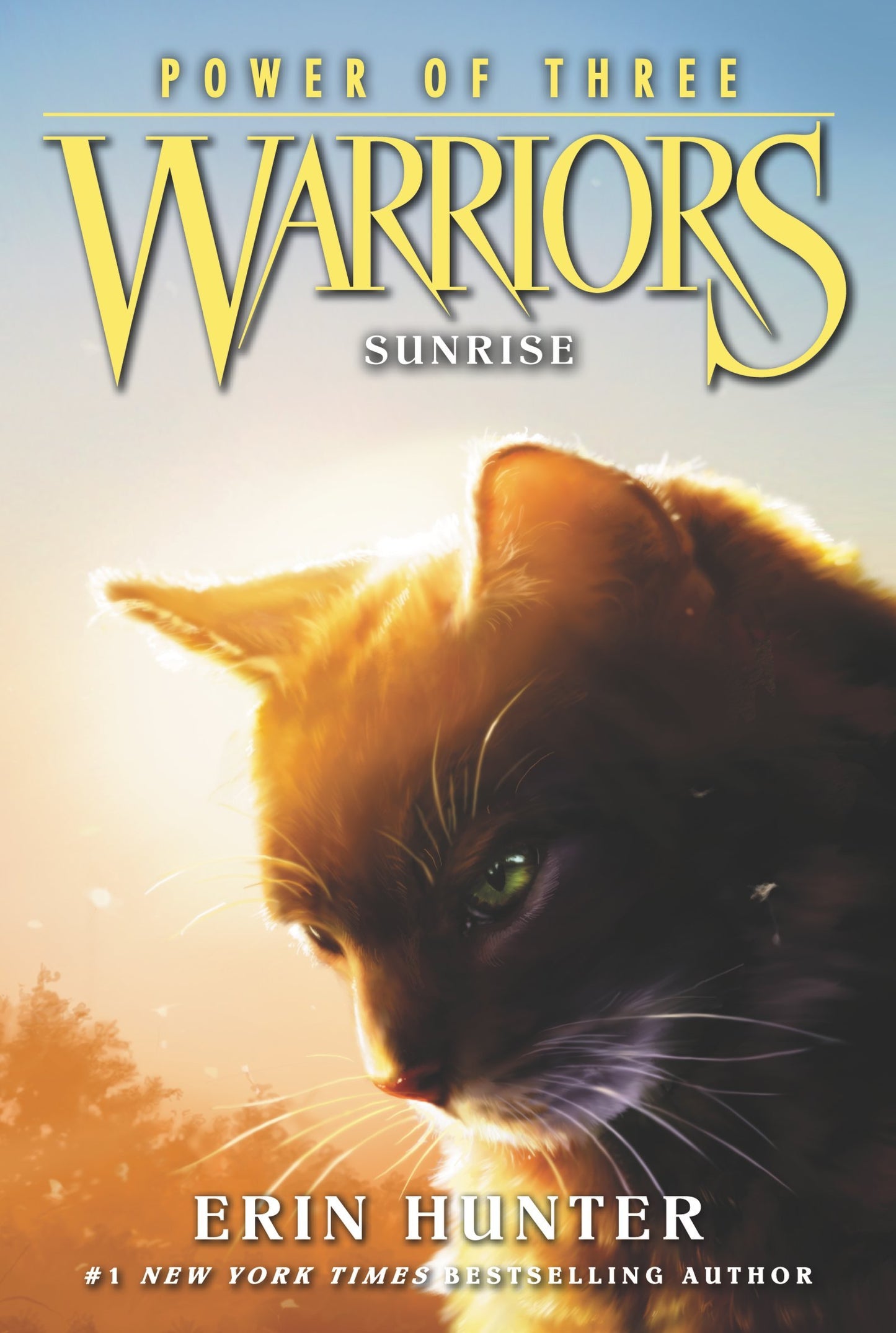 Warriors: Power of Three #6: Sunrise book cover
