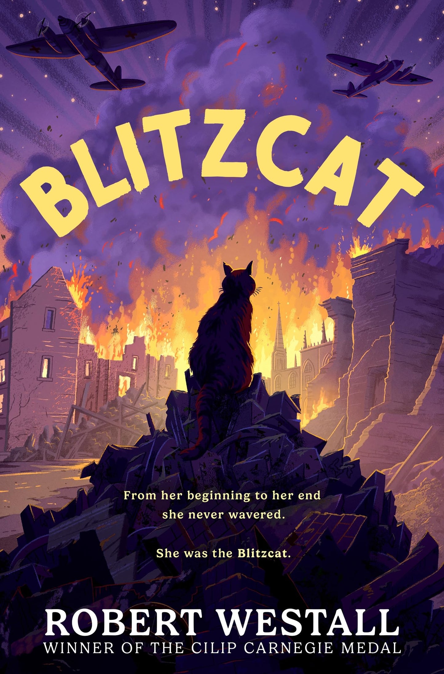 Blitzcat (New Edit/Cover) book cover