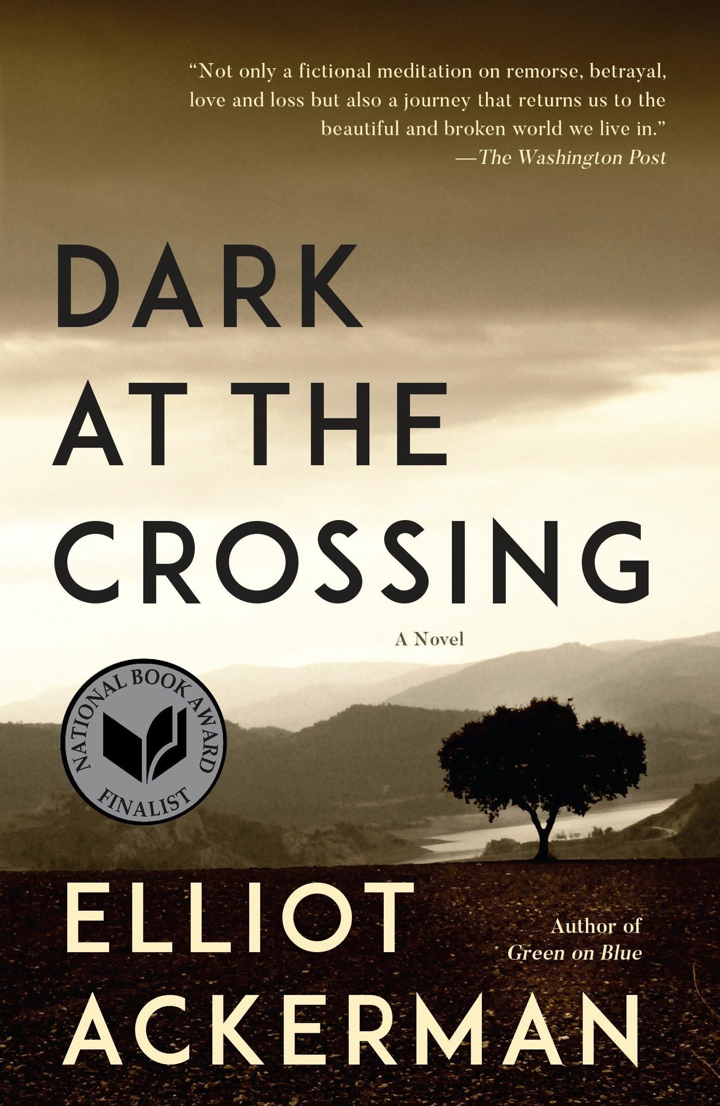 Dark at the Crossing book cover