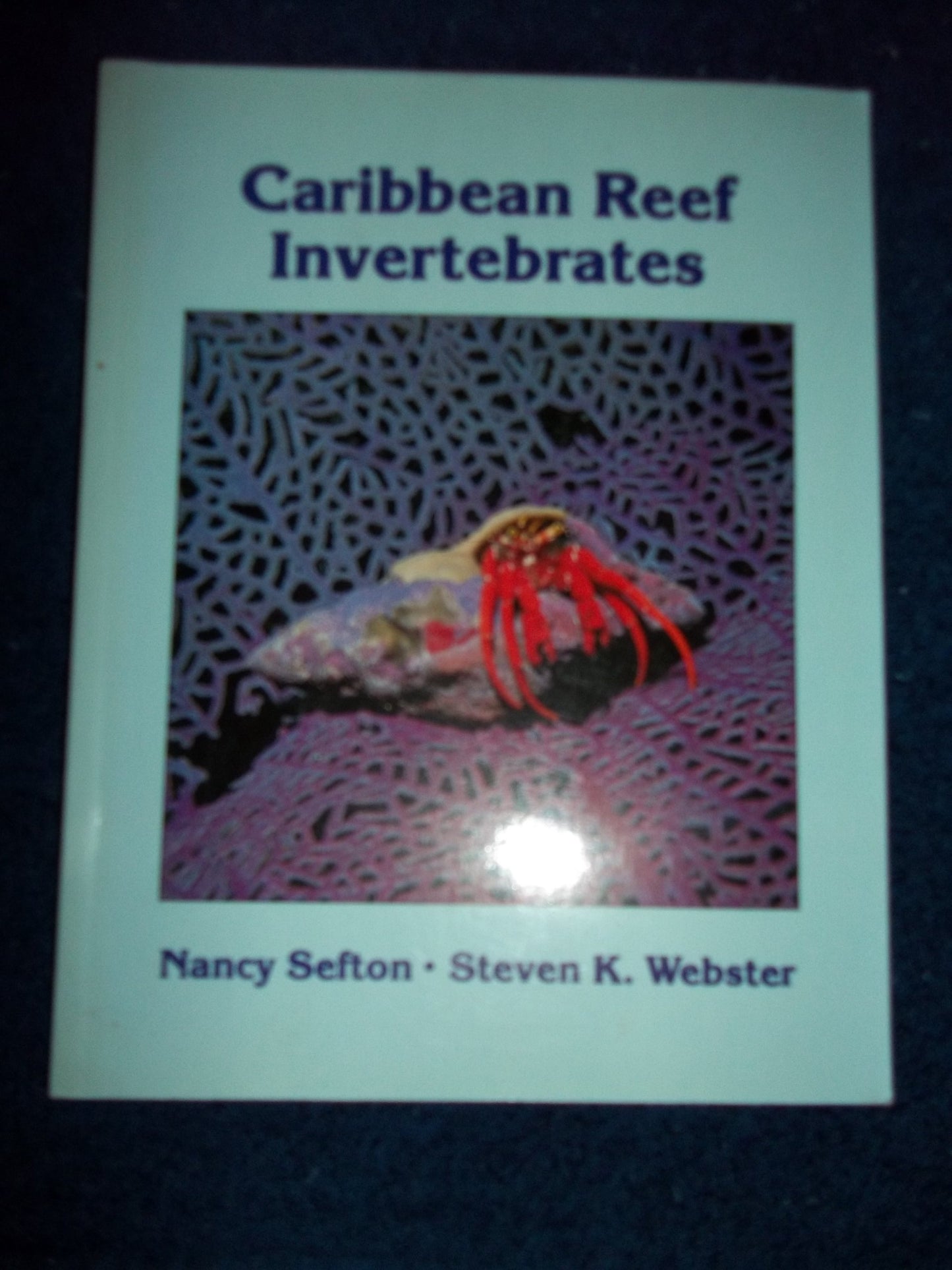 Field Guide to Carribean Reef Invertebrates book cover