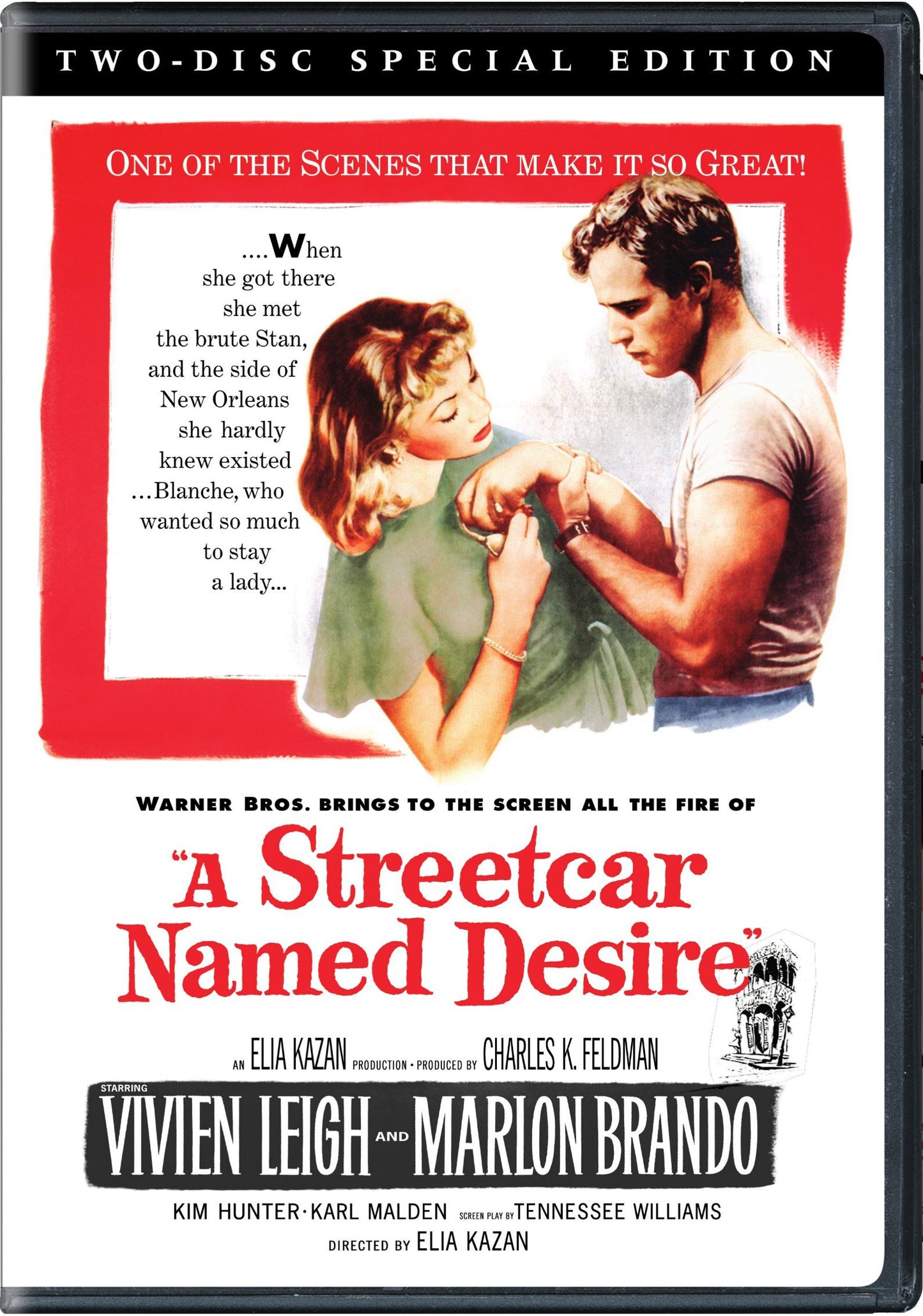 Streetcar Named Desire (Special) book cover