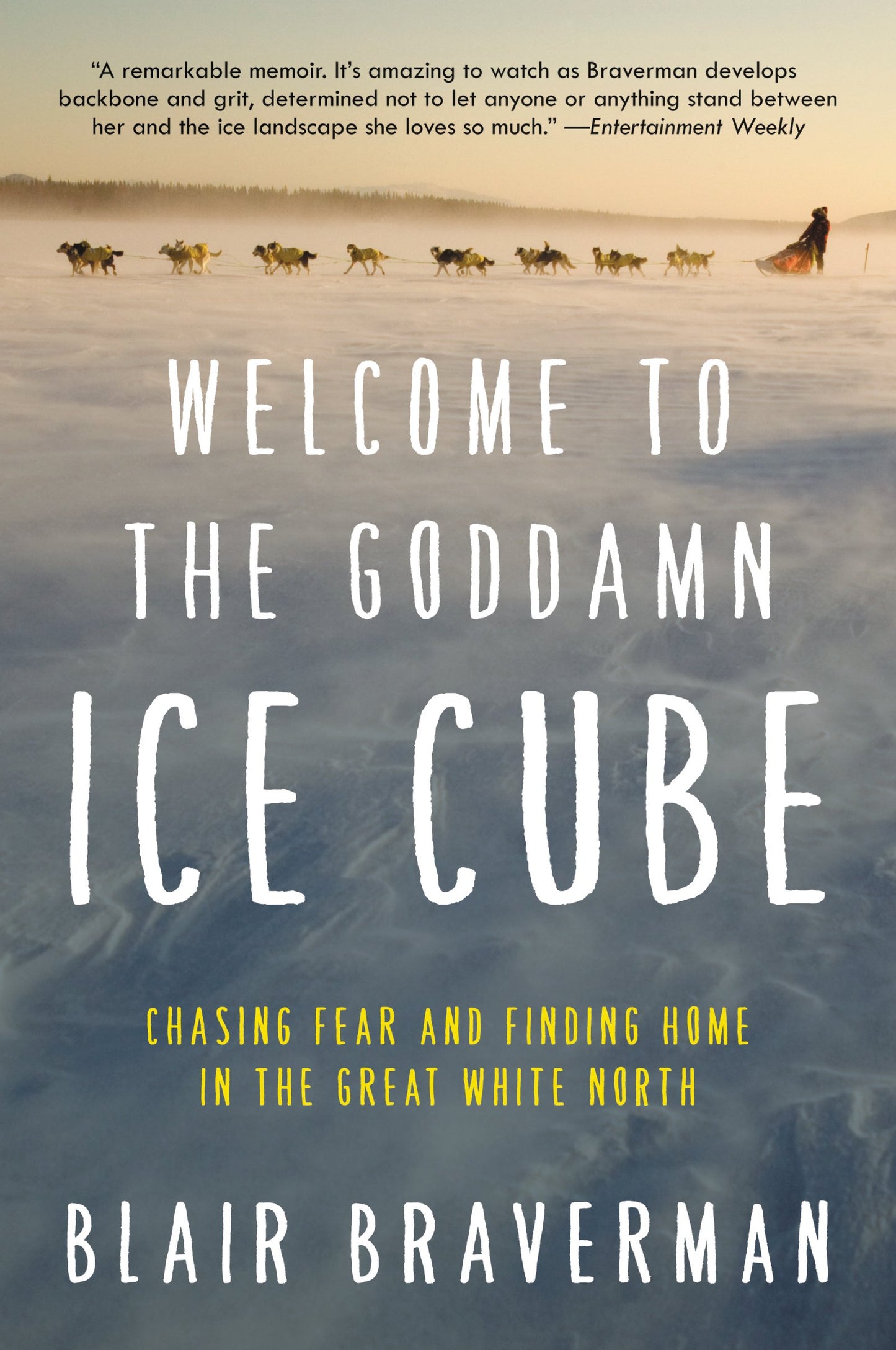 Welcome to the Goddamn Ice Cube: Chasing Fear and Finding Home in the Great White North book cover