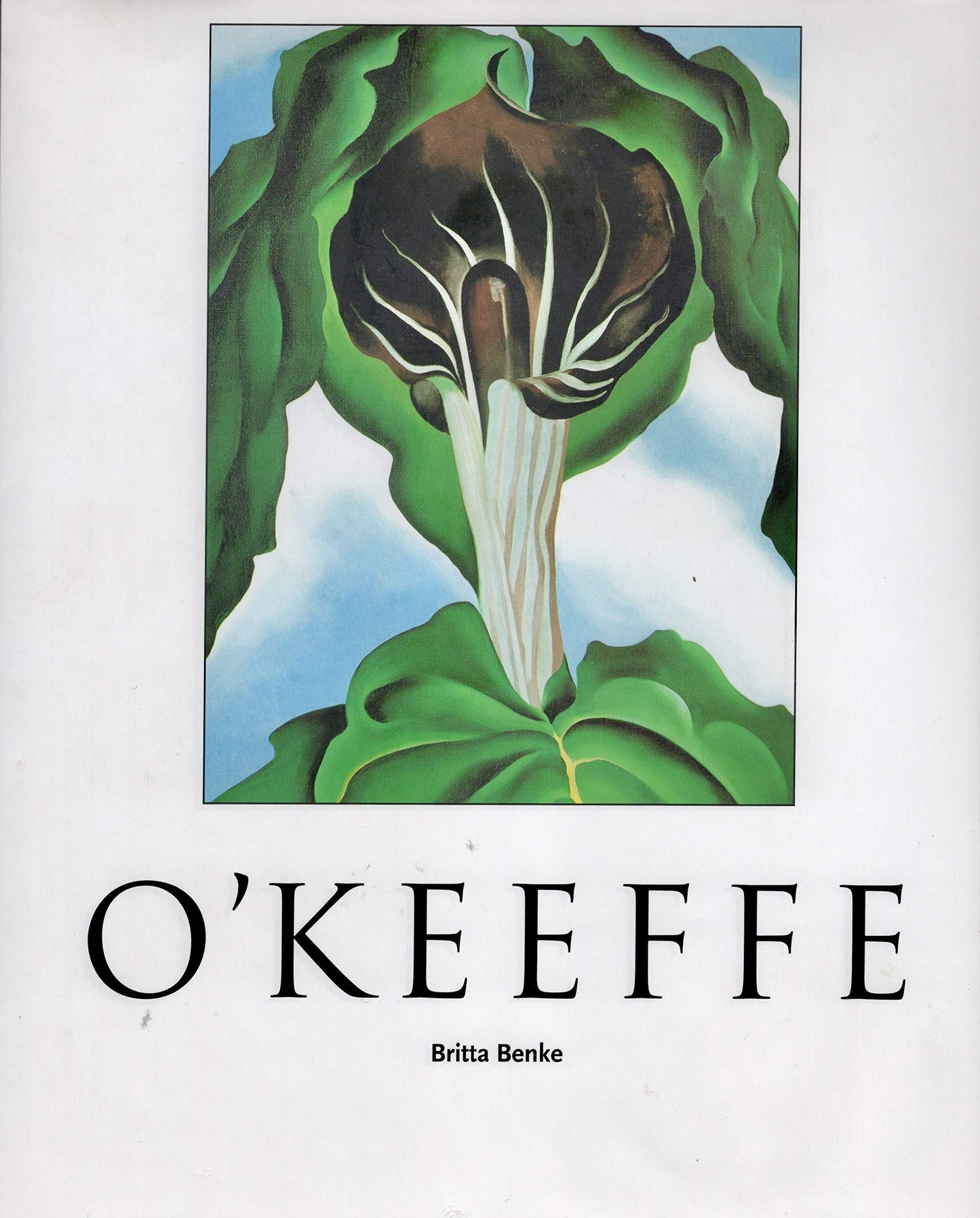 Georgia O'Keeffe, 1887-1986: Flowers in the desert book cover