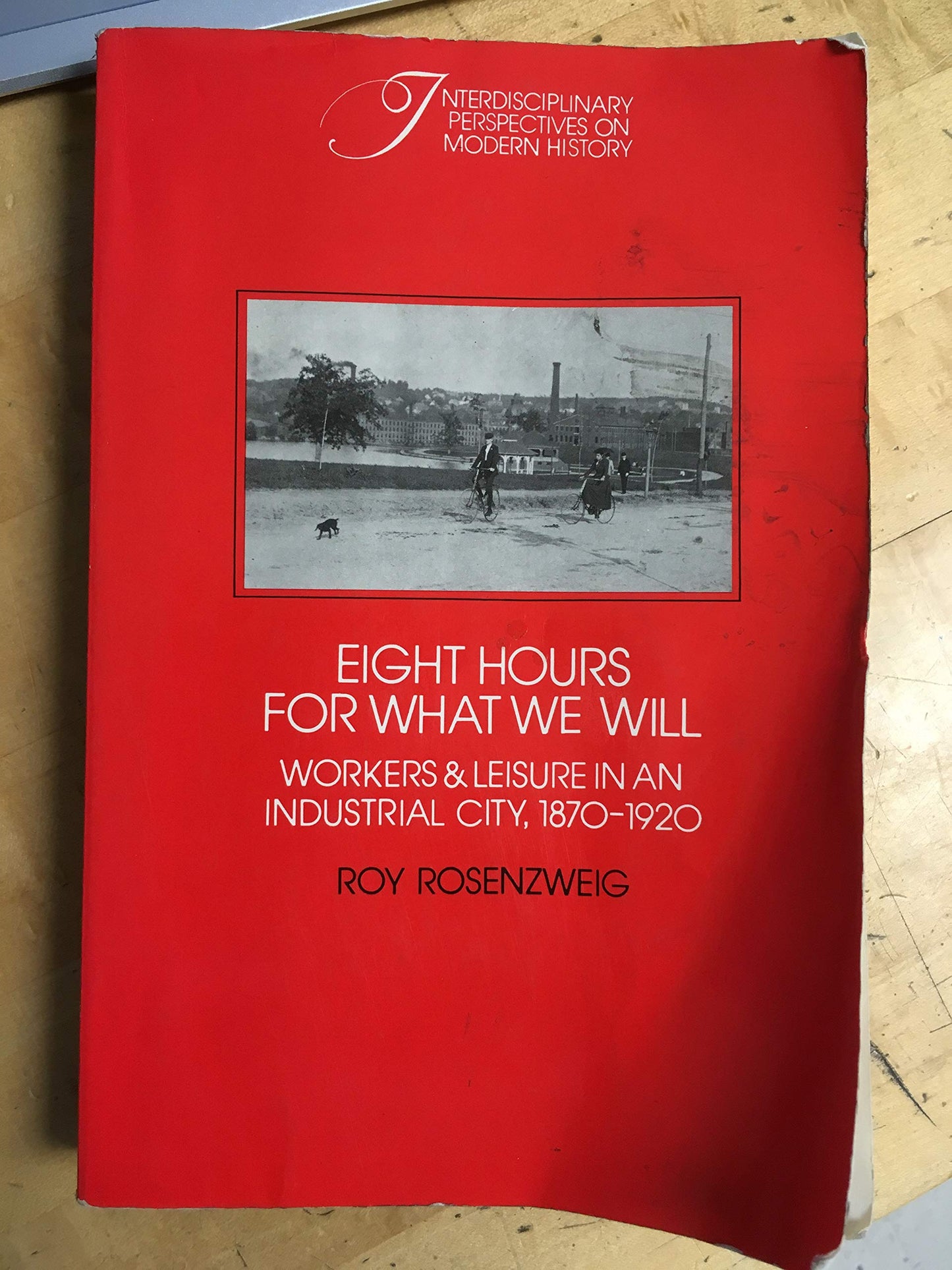 Eight Hours for What We Will: Workers and Leisure in an Industrial City, 1870 1920 (Revised) book cover