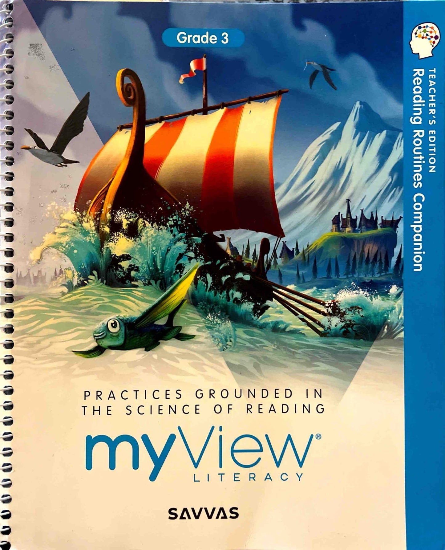 My View Literacy , Grade 3 , Teacher´s Edition , Reading Routines Companion