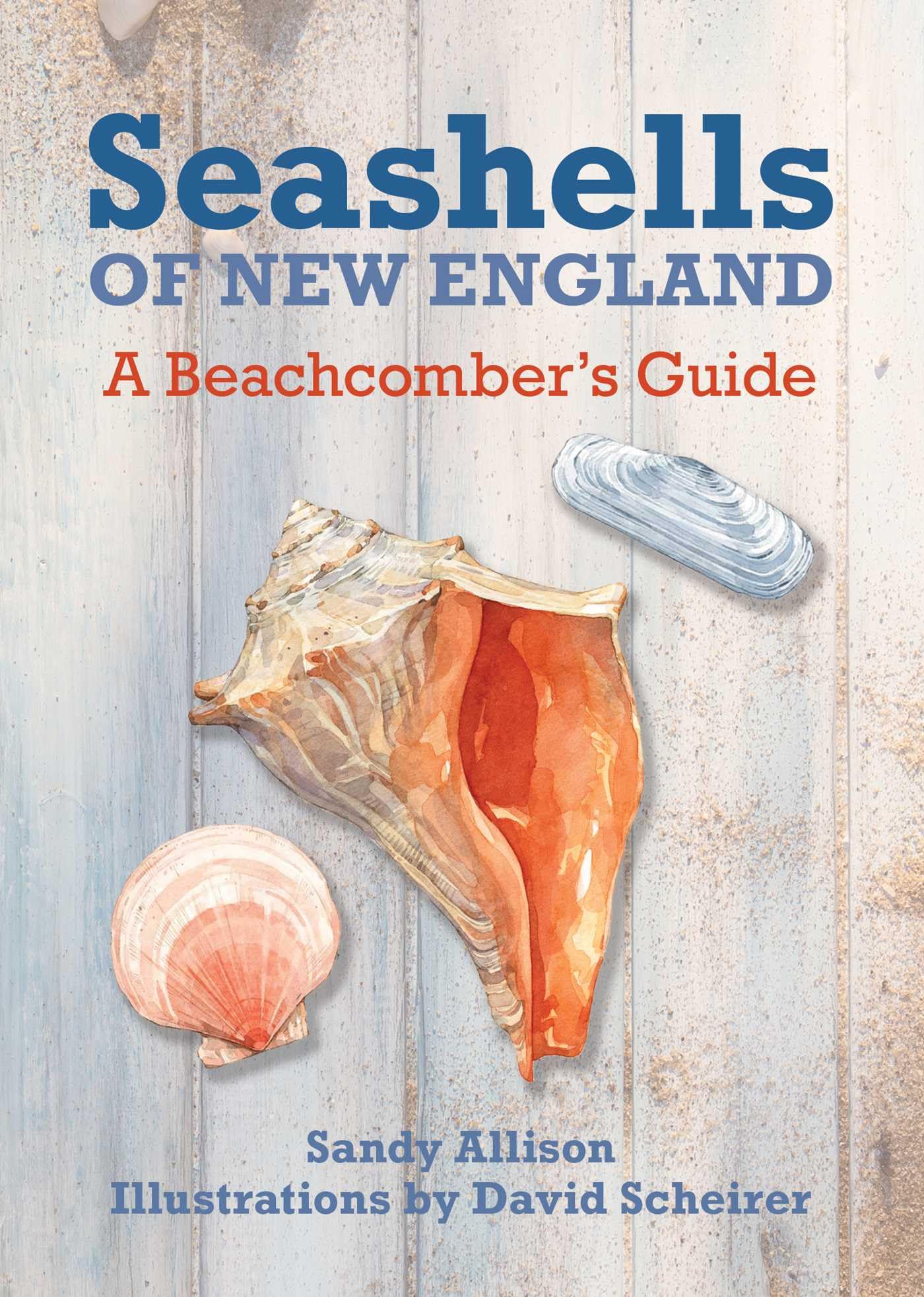 Seashells of New England: A Beachcomber's Guide book cover