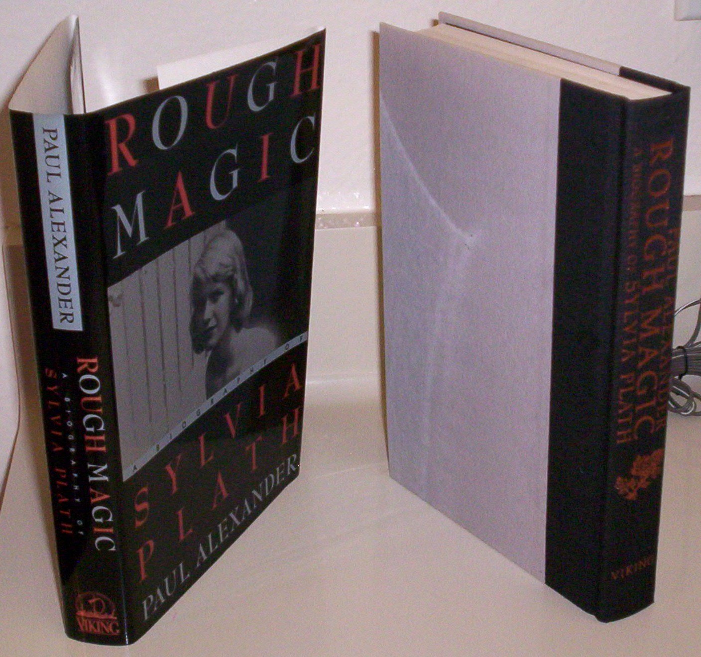 Rough Magic: A Biography of Sylvia Plath book cover