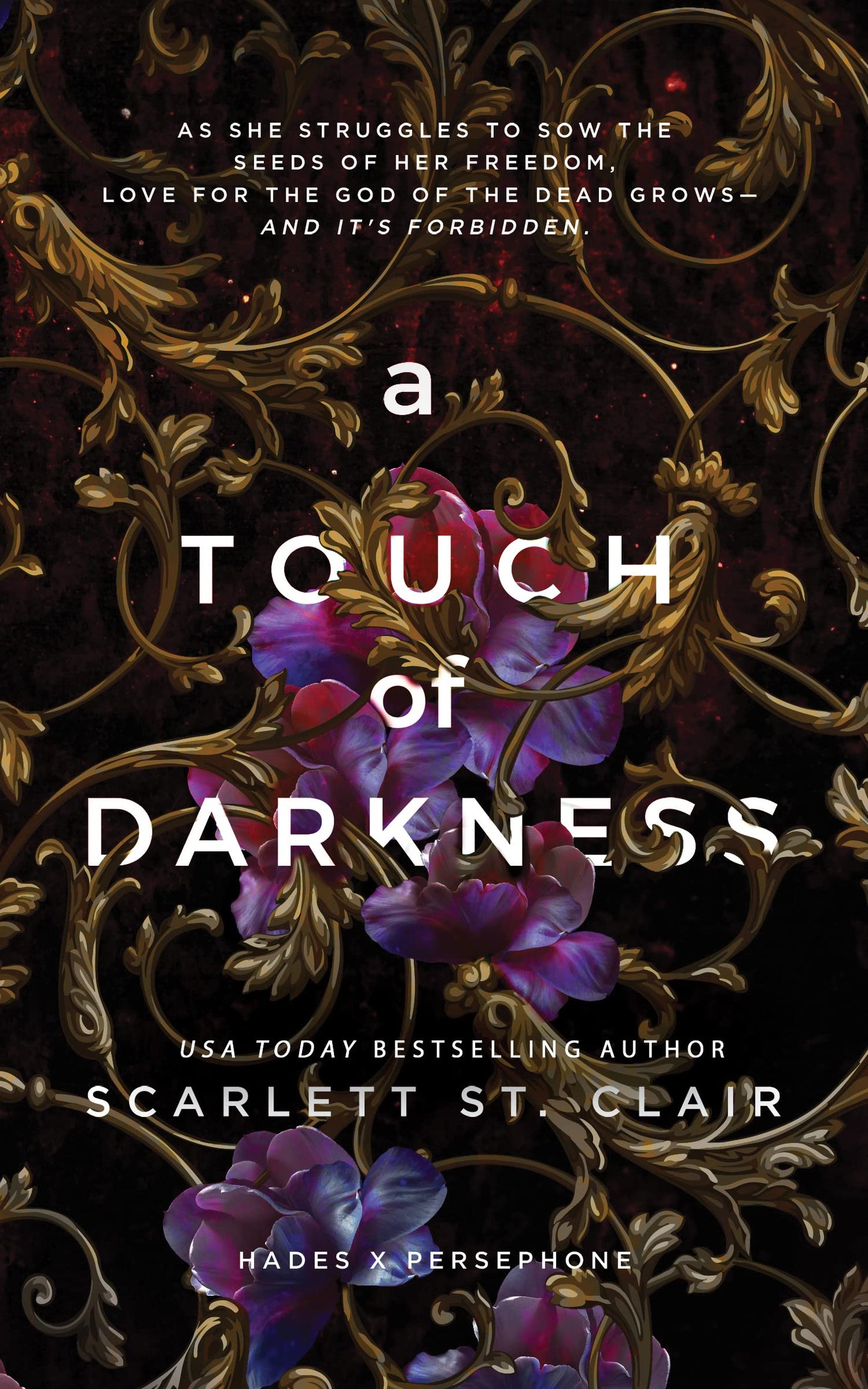 Touch of Darkness book cover