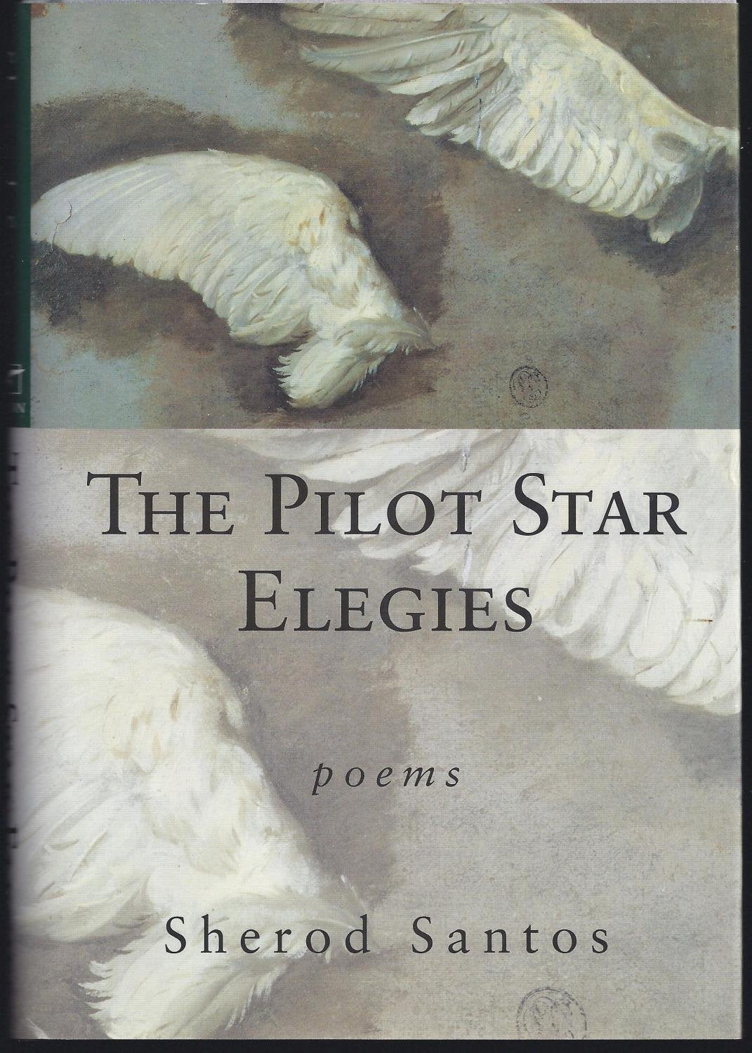 Pilot Star Elegies book cover
