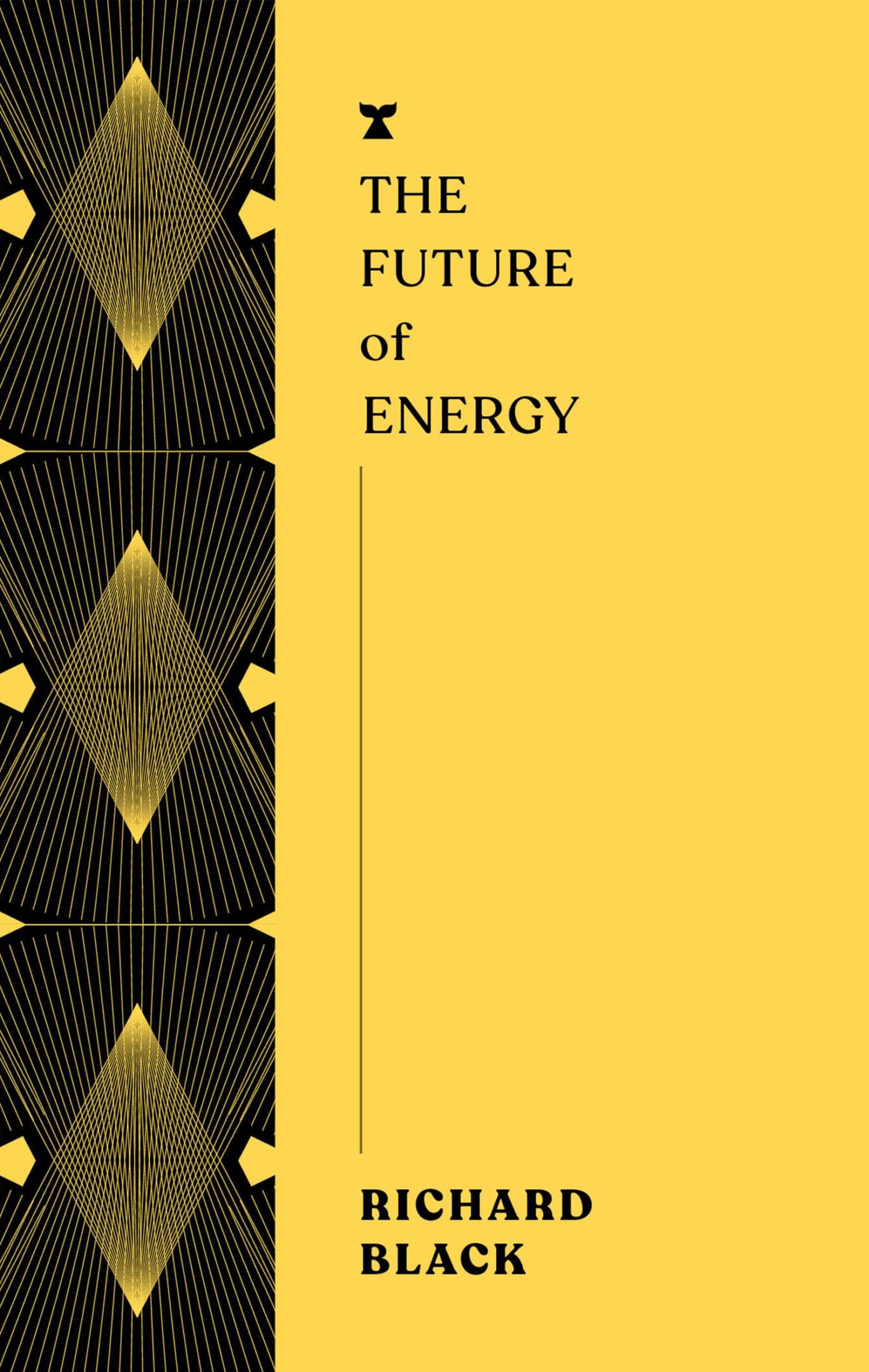 Future of Energy book cover