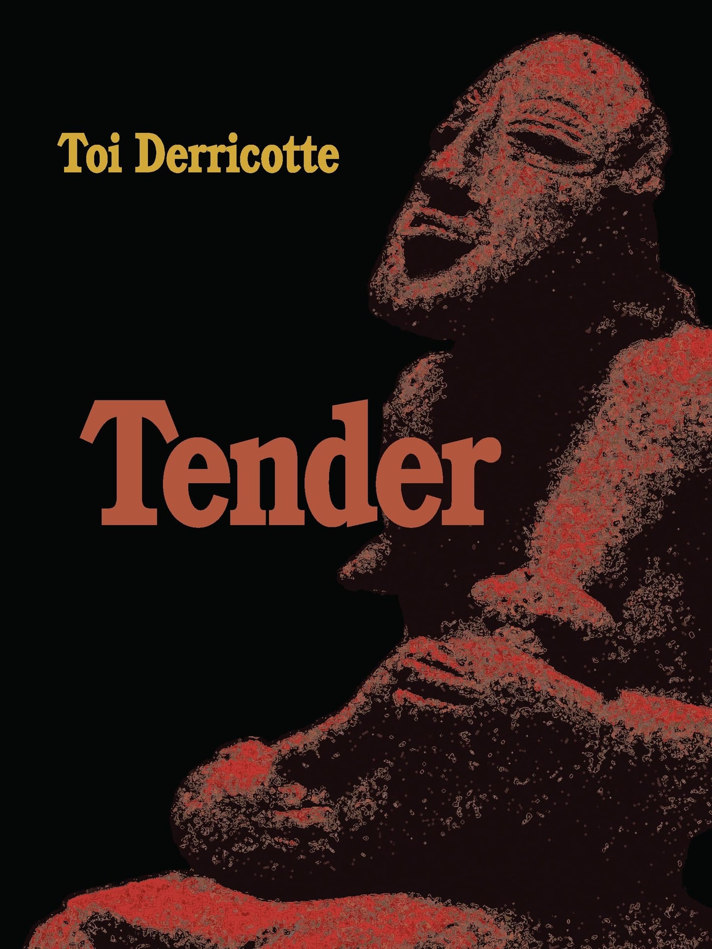 Tender book cover