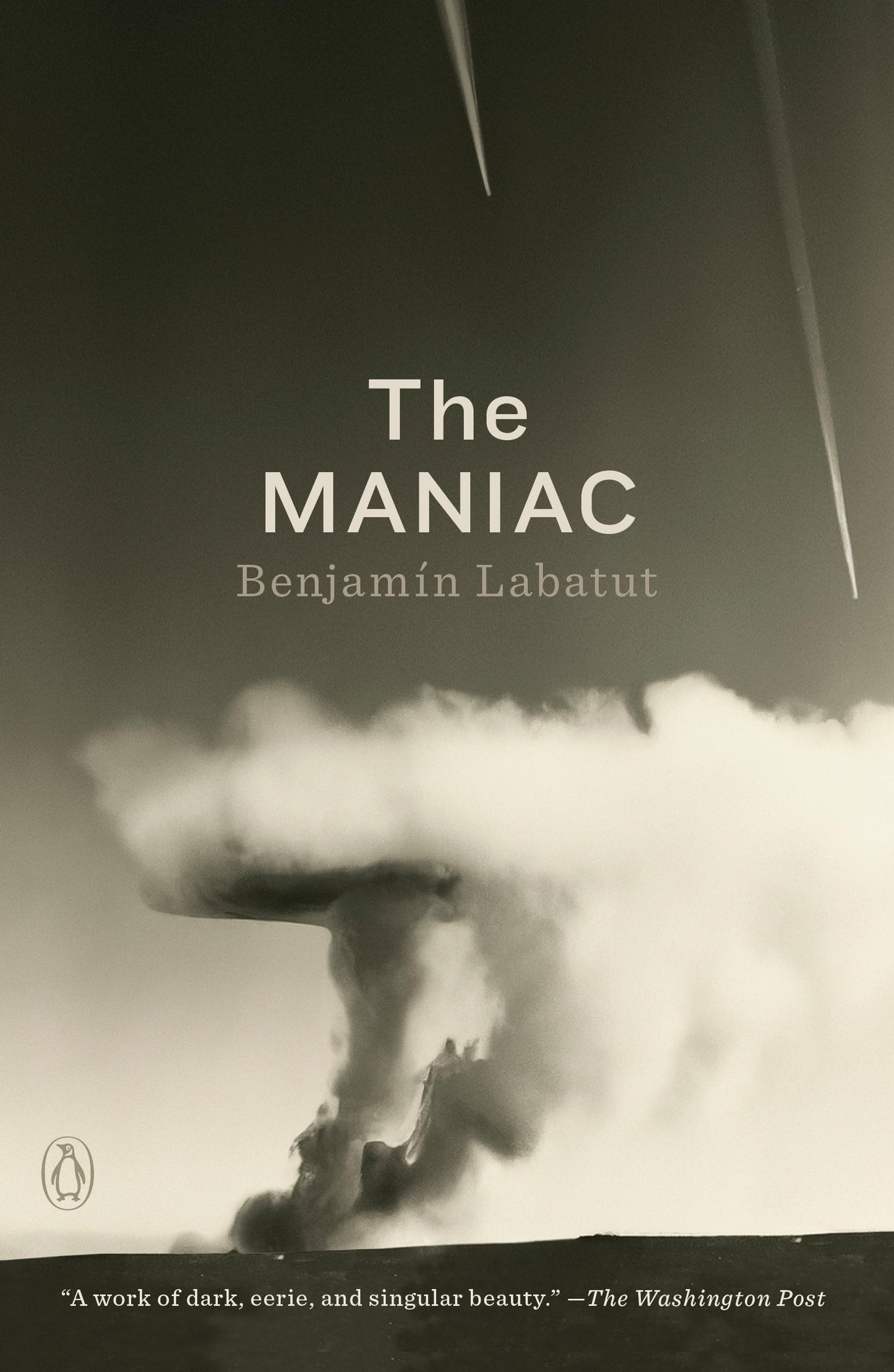 The MANIAC book cover