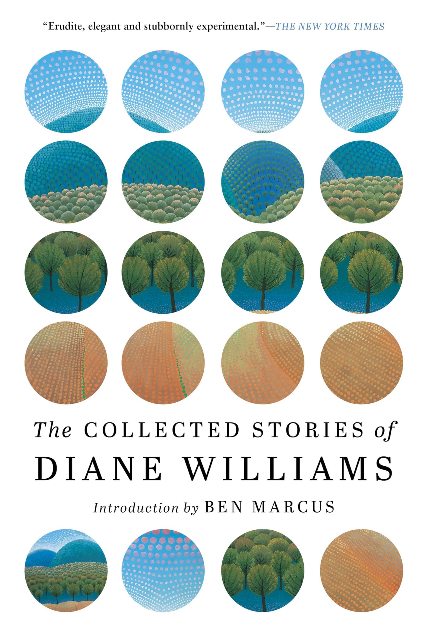 Collected Stories of Diane Williams book cover