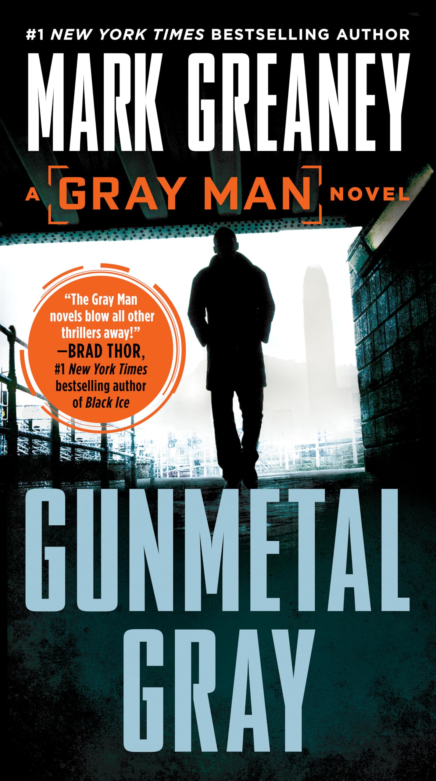 Gunmetal Gray book cover