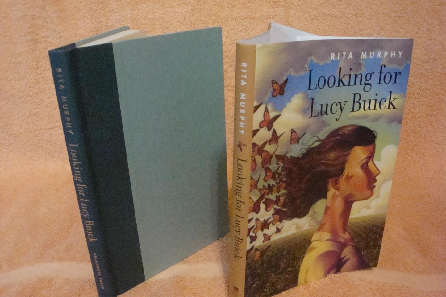Looking for Lucy Buick book cover