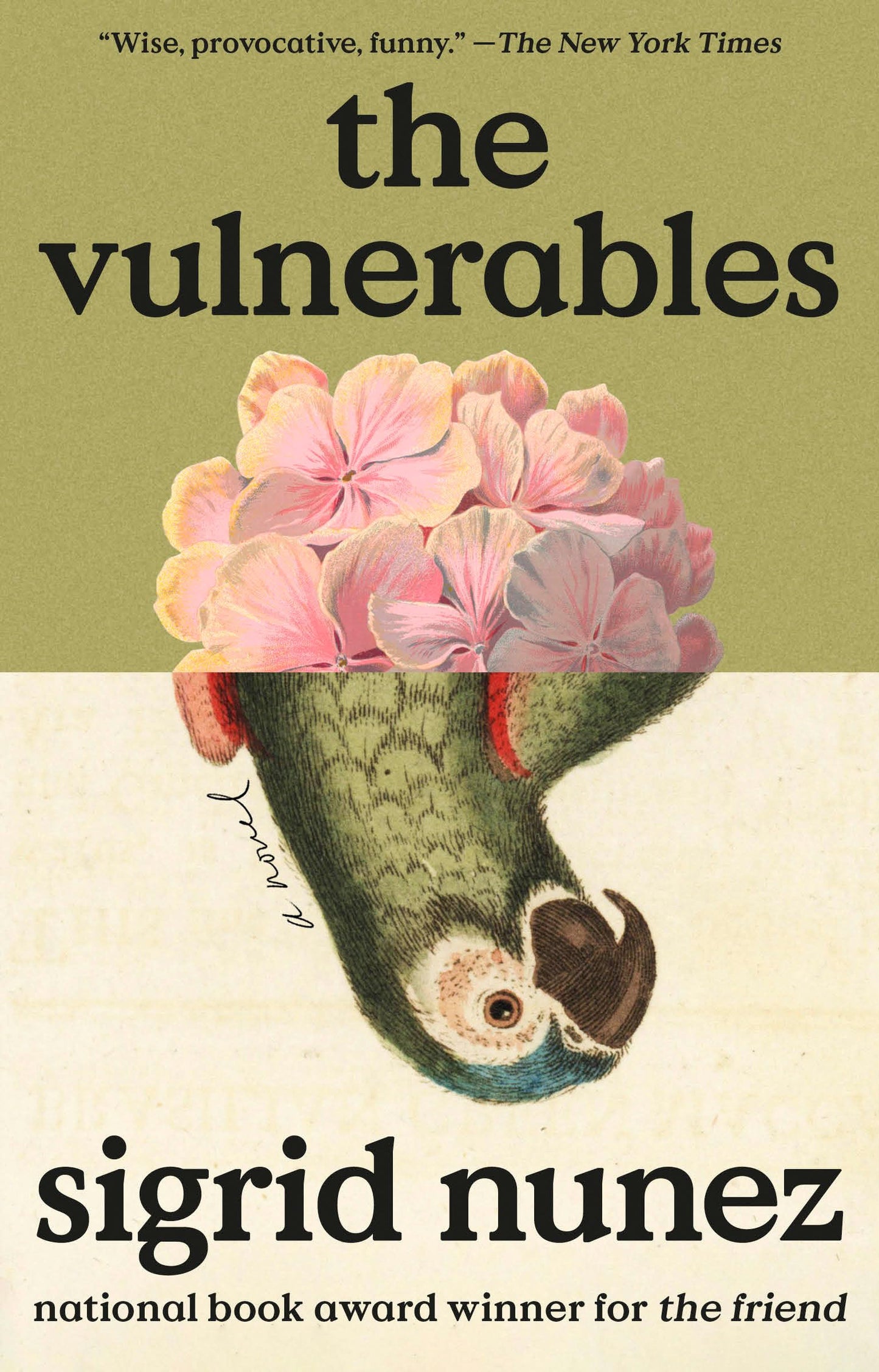 The Vulnerables book cover