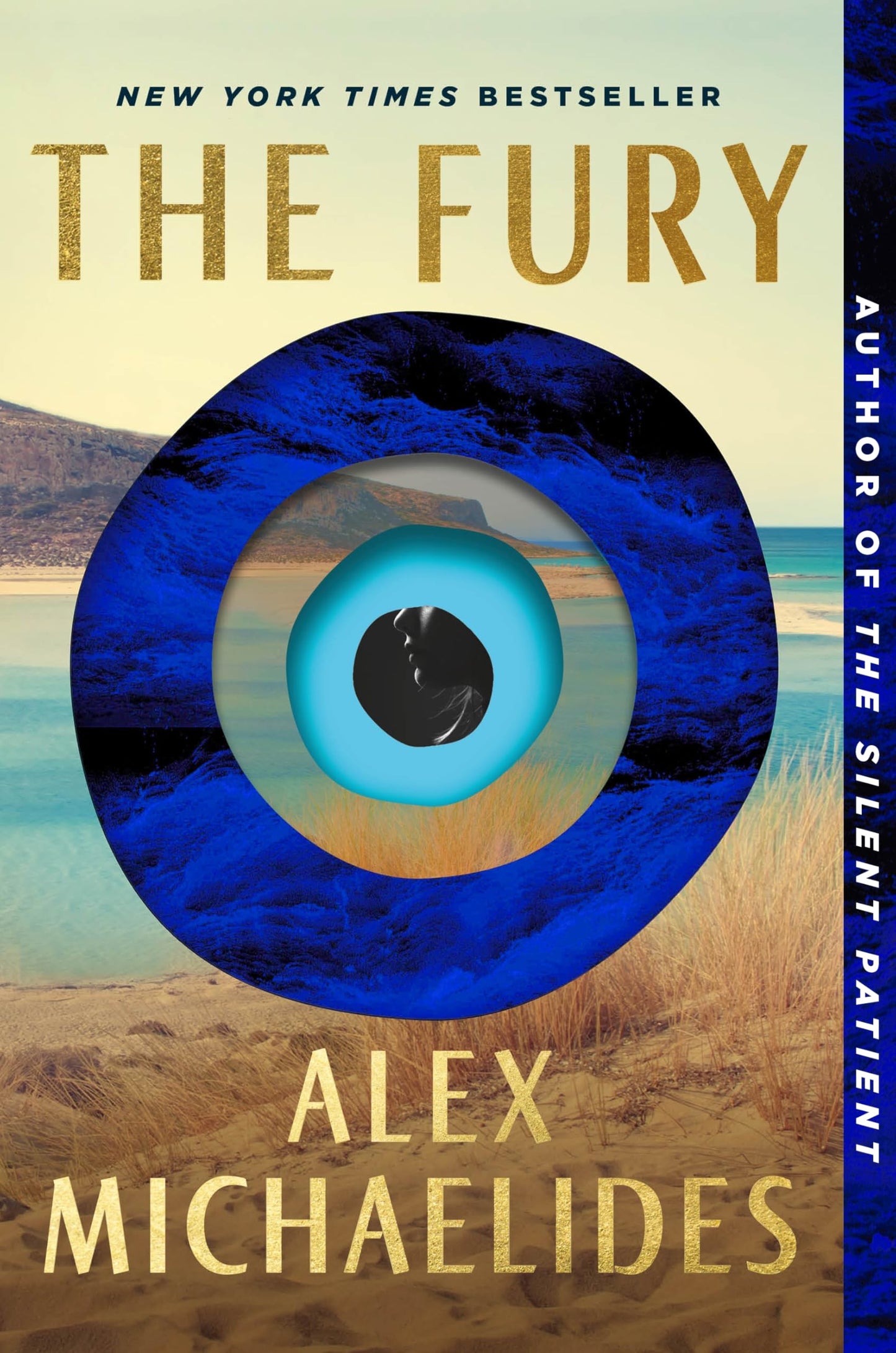The Fury book cover