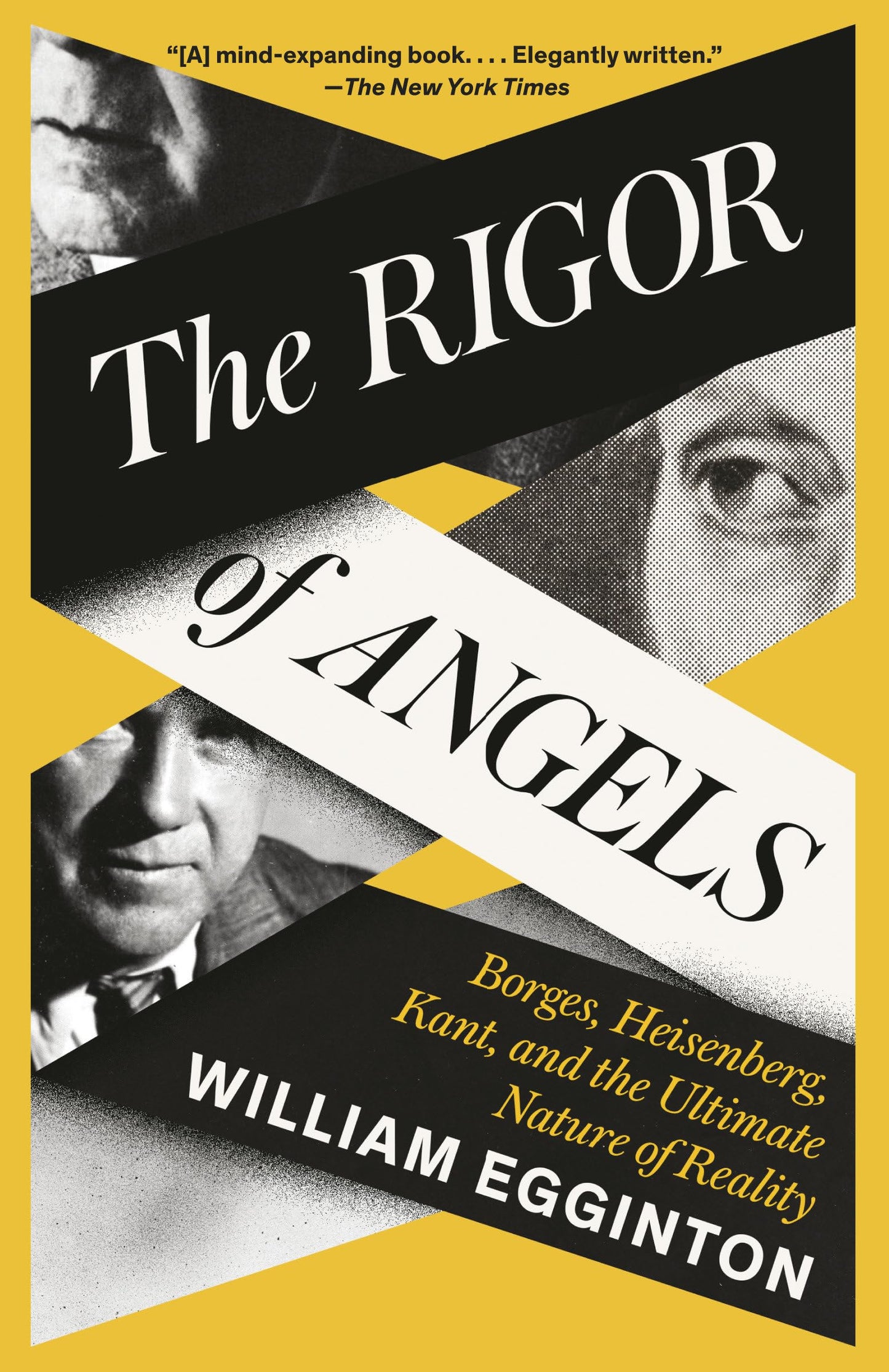 The Rigor of Angels book cover