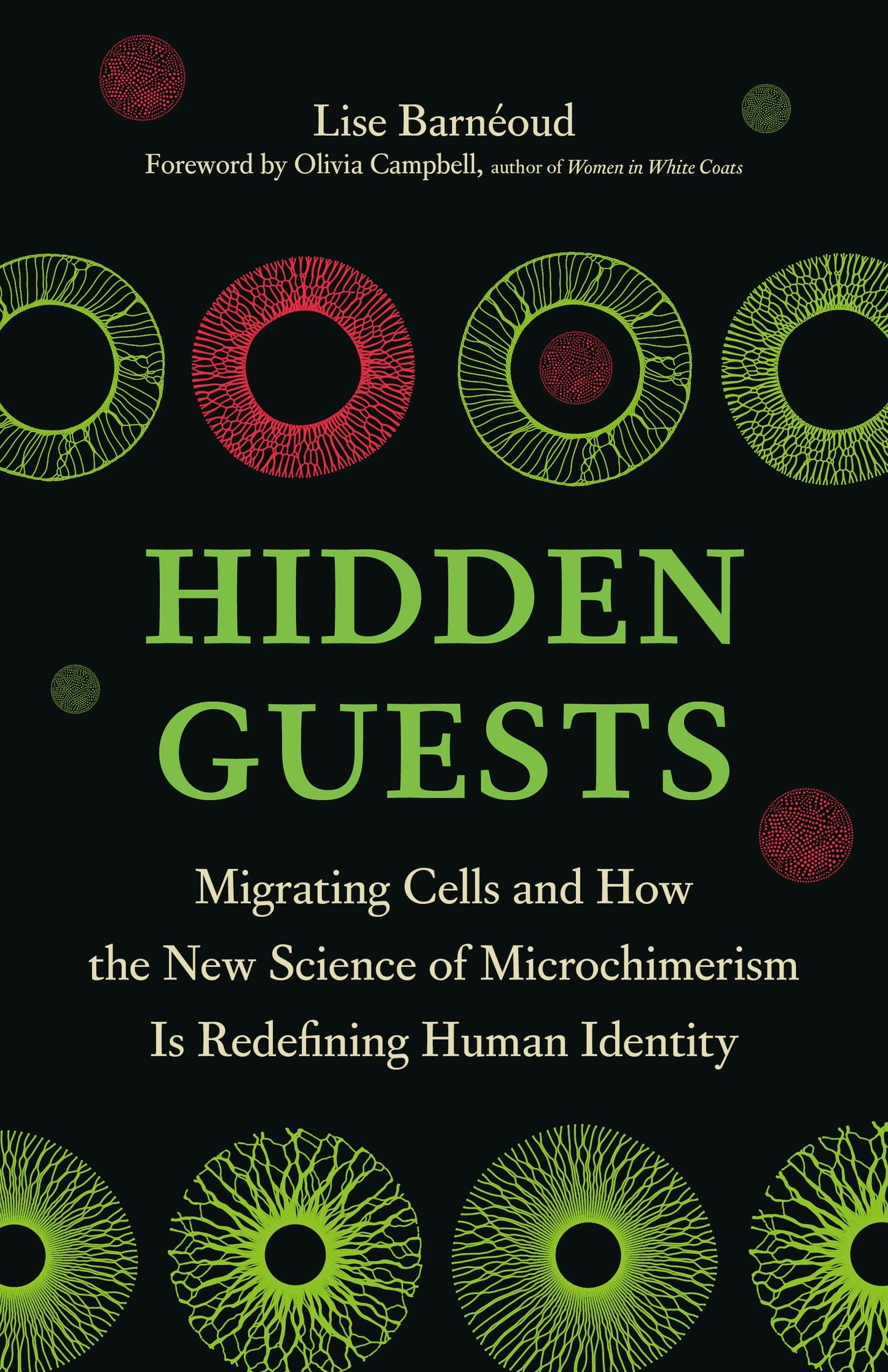 Hidden Guests book cover