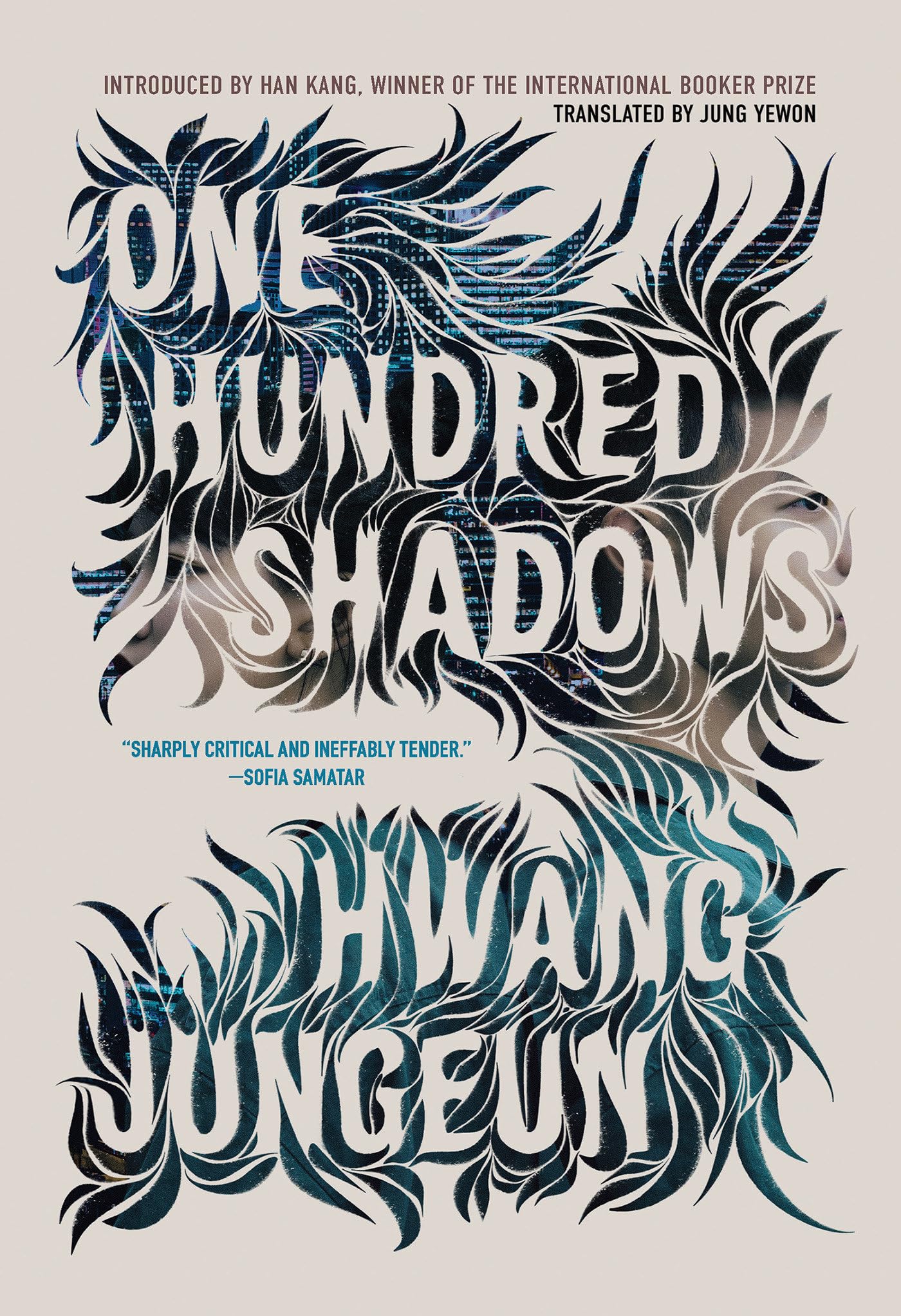 One Hundred Shadows book cover