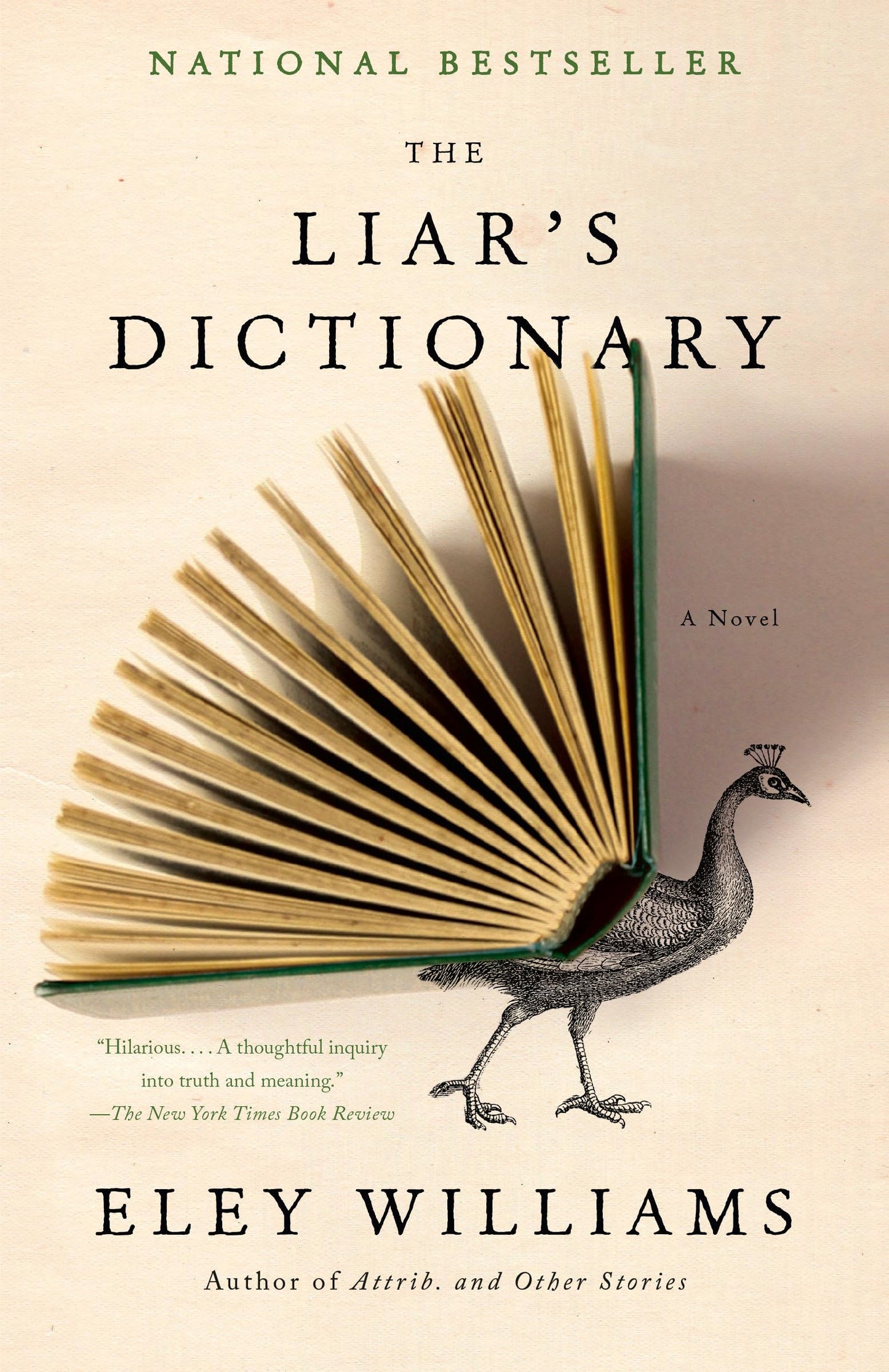 Liar's Dictionary book cover