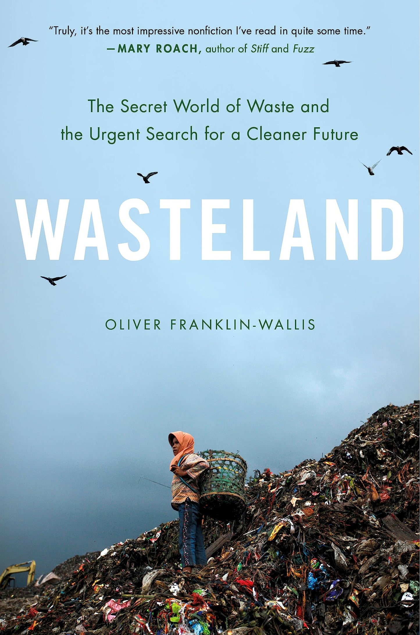 Wasteland: The Secret World of Waste and the Urgent Search for a Cleaner Future book cover