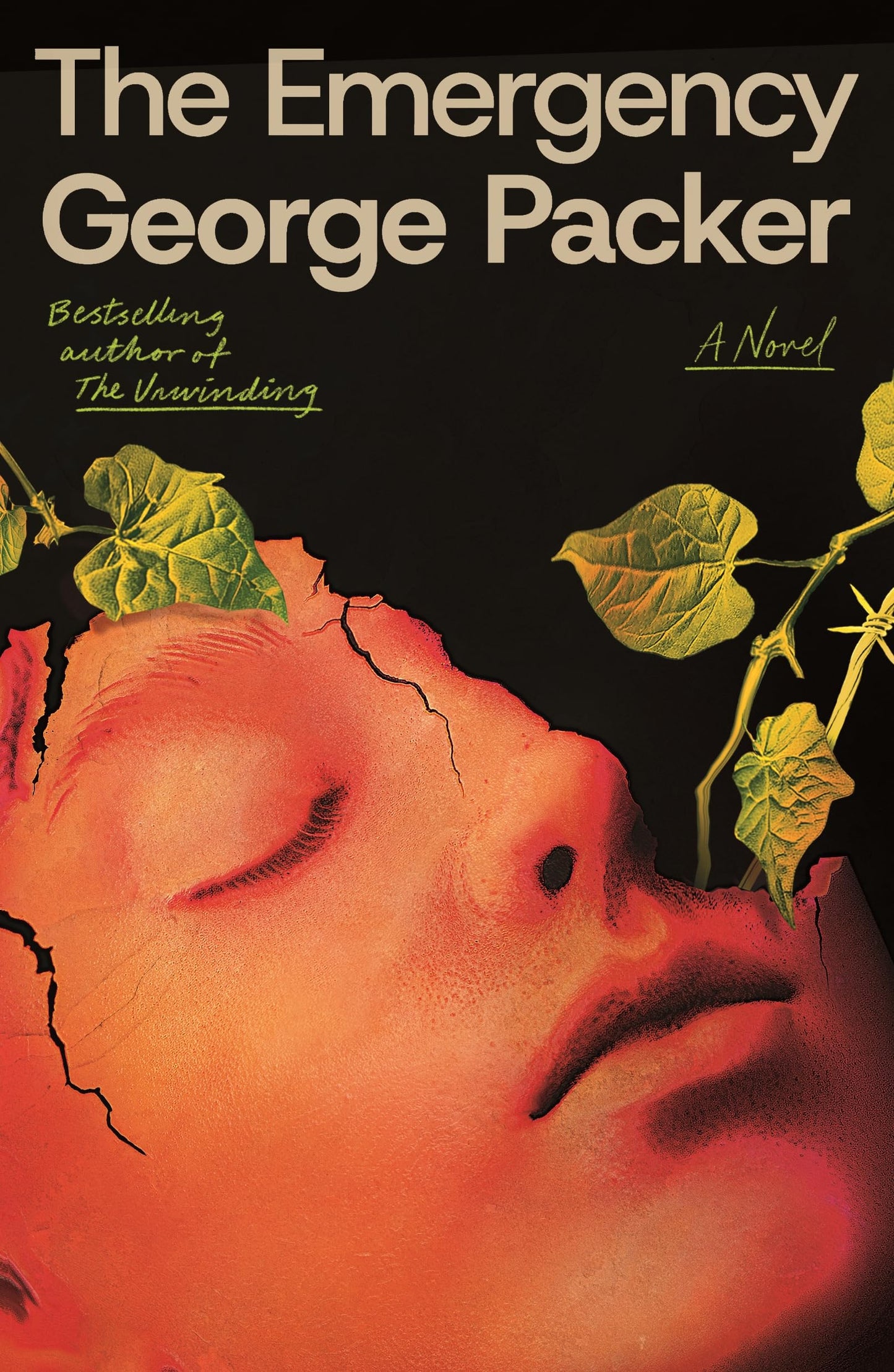 The Emergency book cover