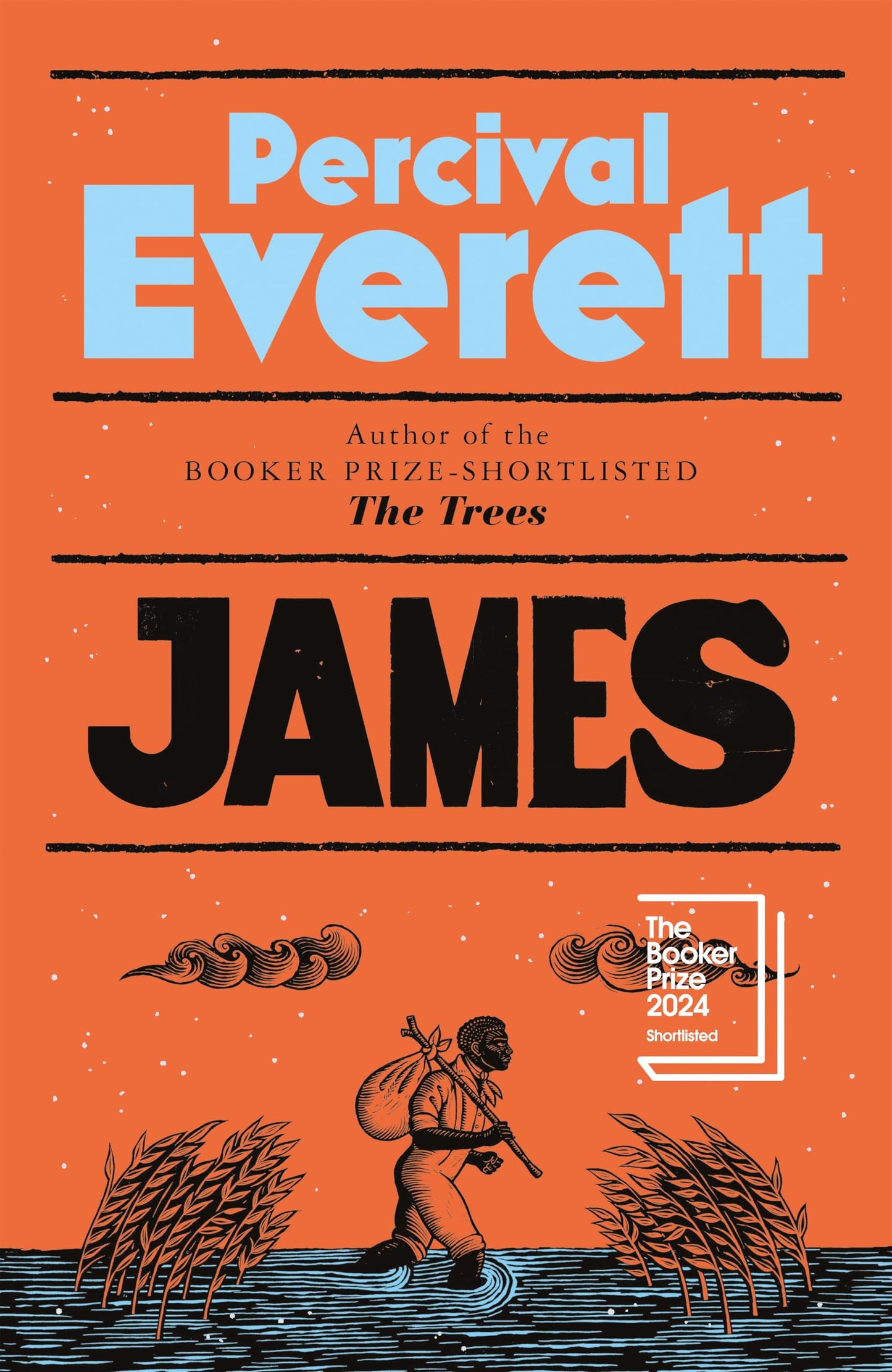 James: The Instant Sunday Times Bestseller book cover