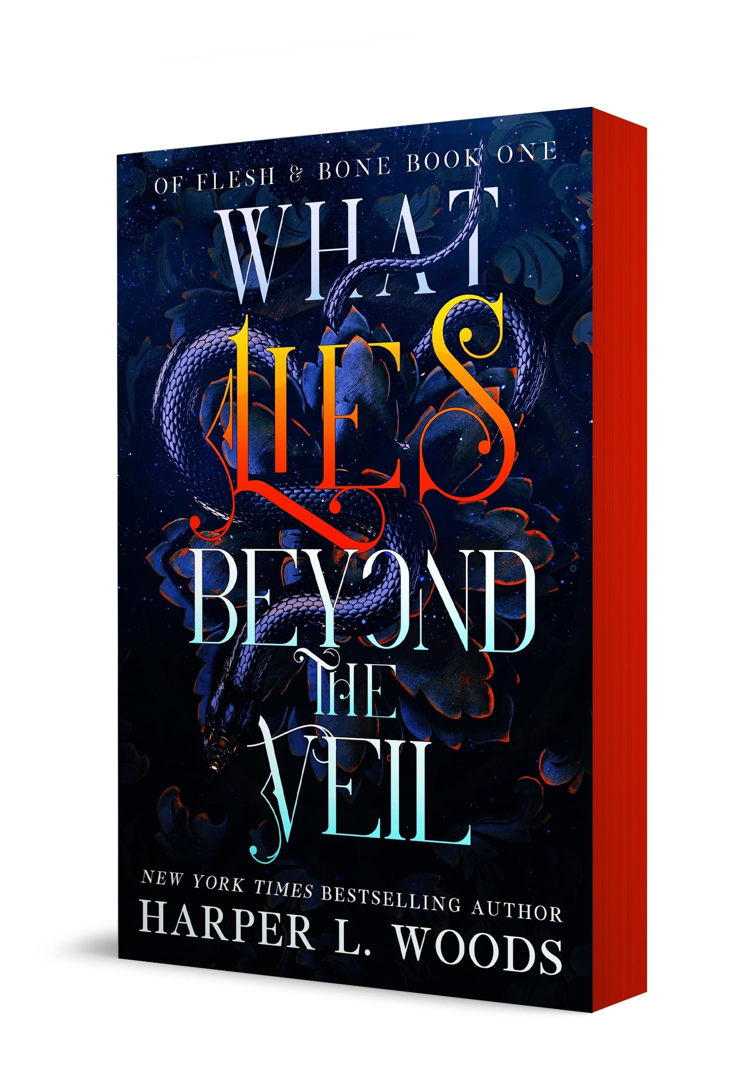 What Lies Beyond the Veil book cover