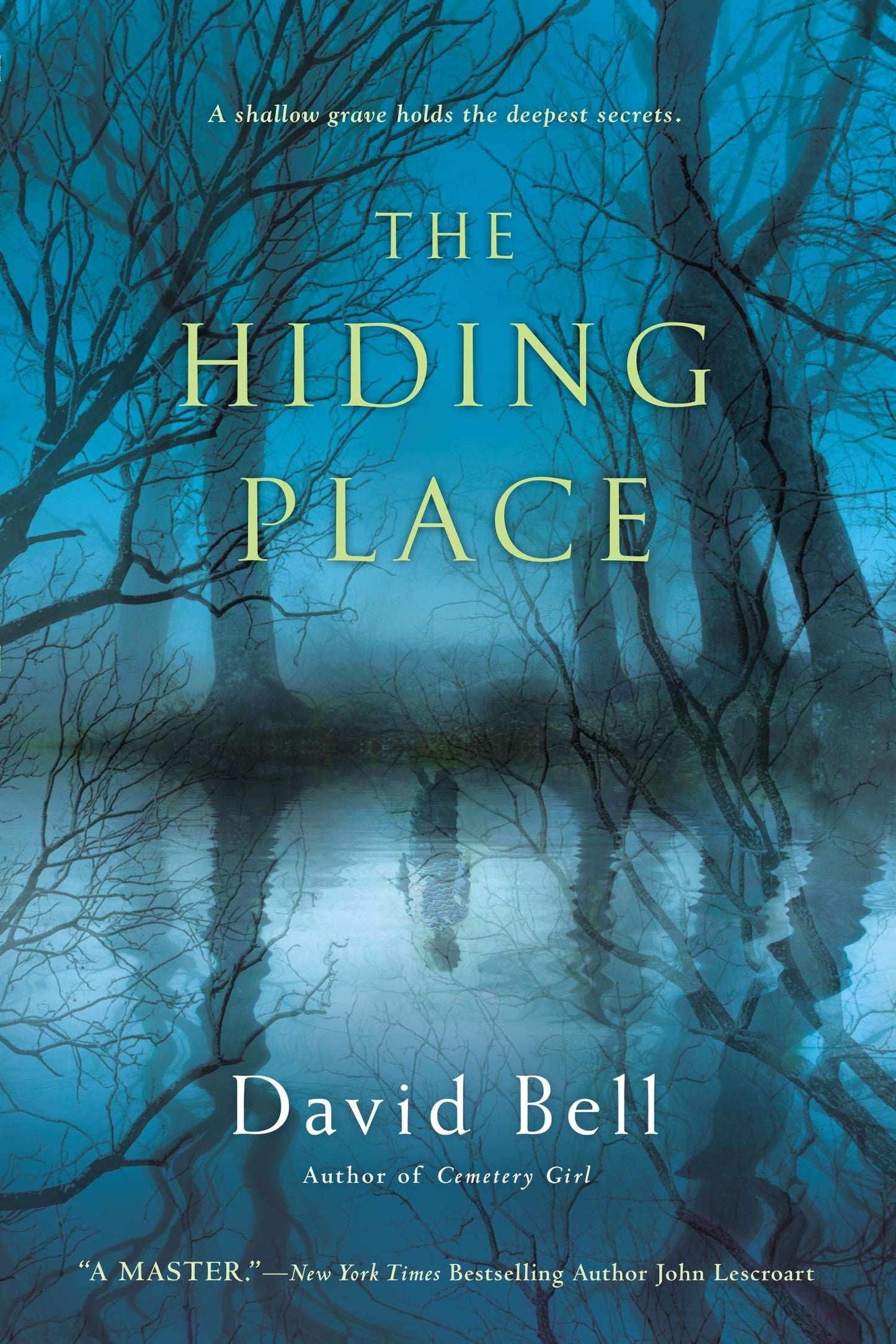 Hiding Place: A Thriller book cover