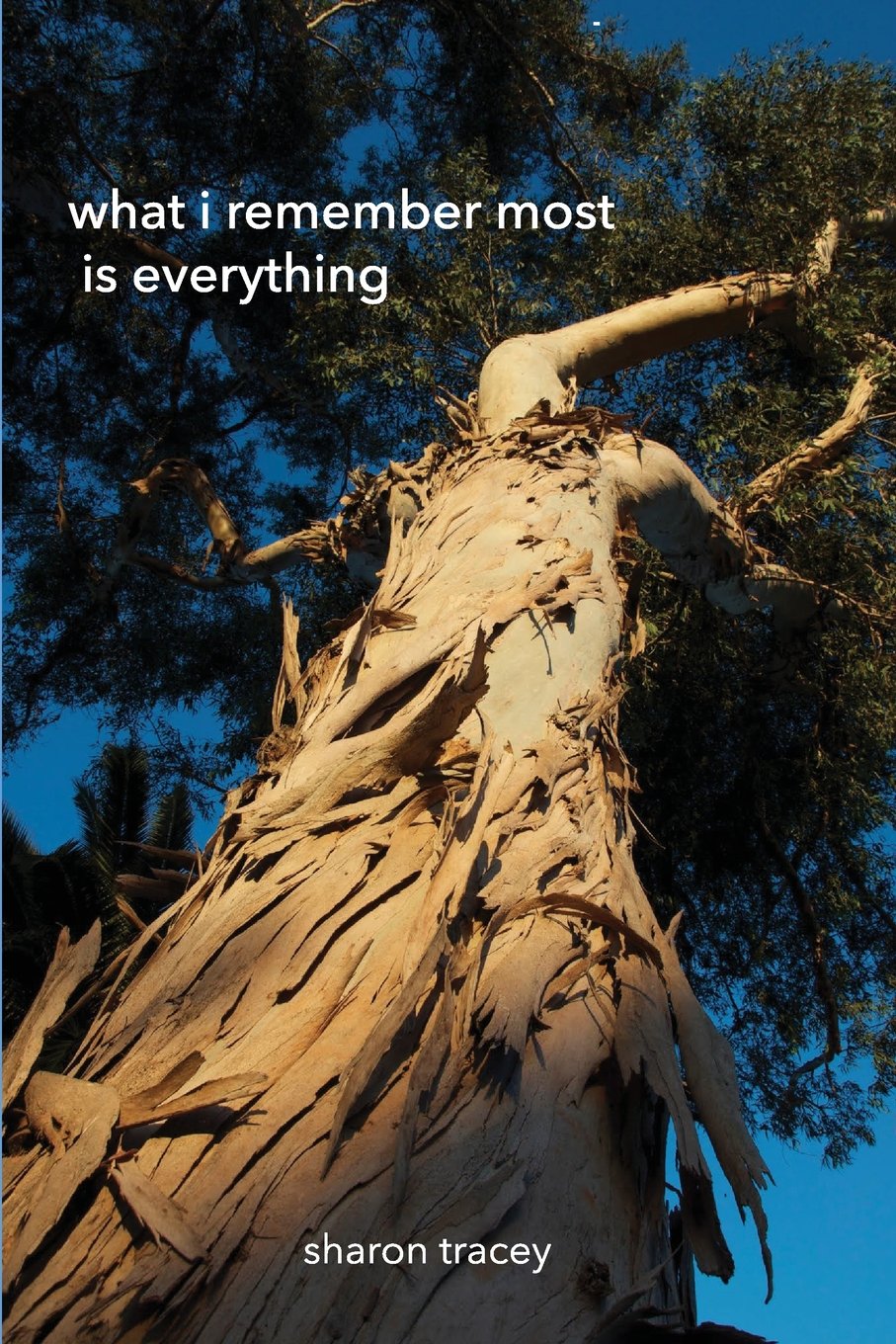 What I Remember Most Is Everything book cover