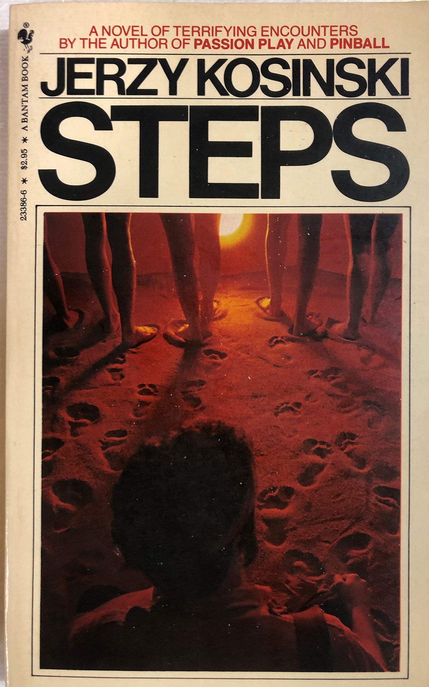 Steps book cover
