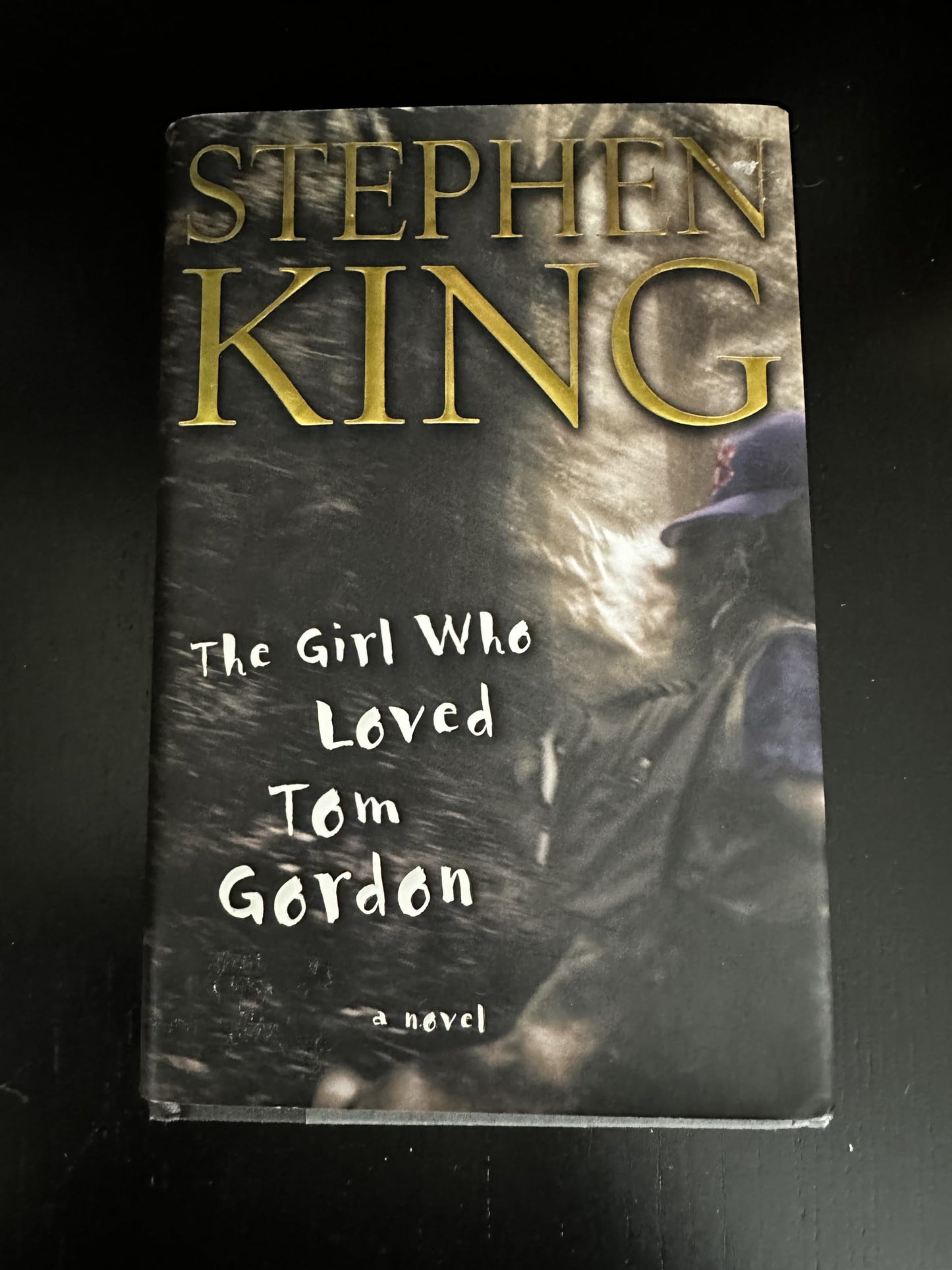 Girl Who Loved Tom Gordon book cover