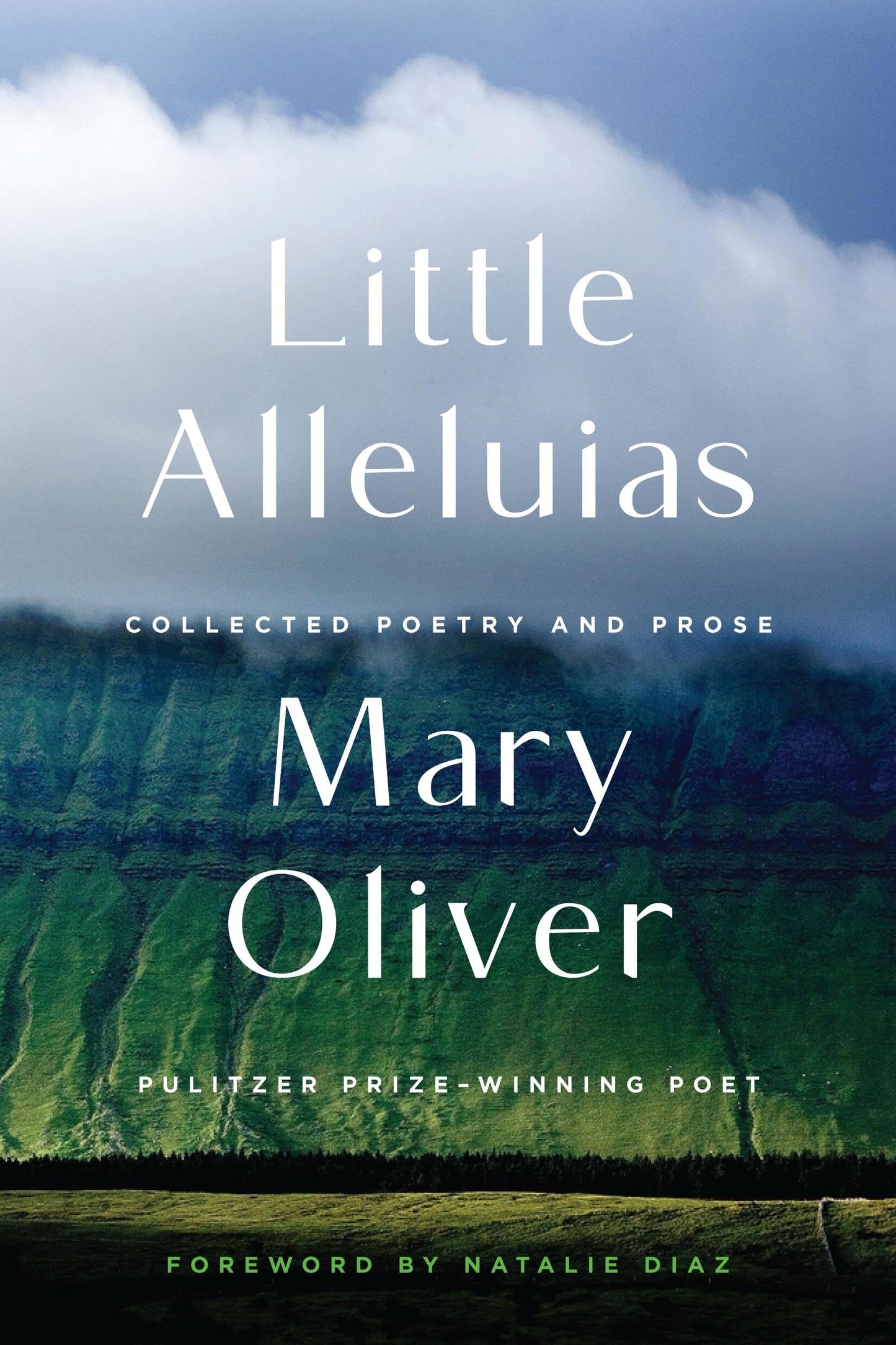 Little Alleluias book cover