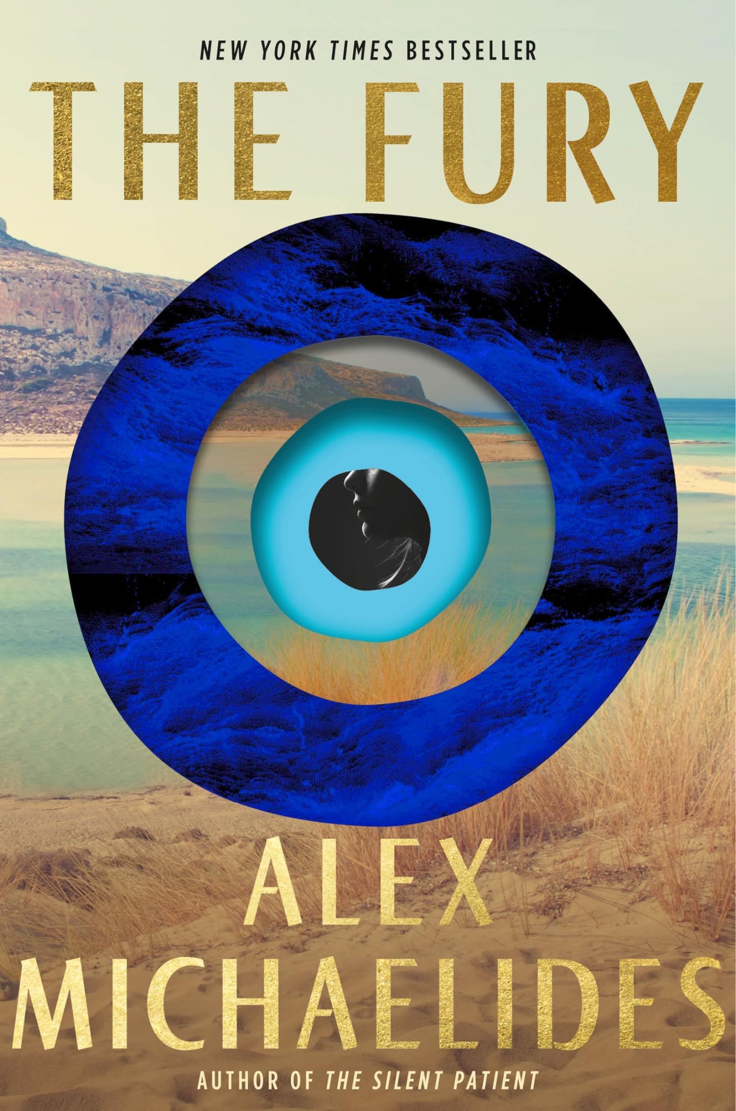 Fury book cover