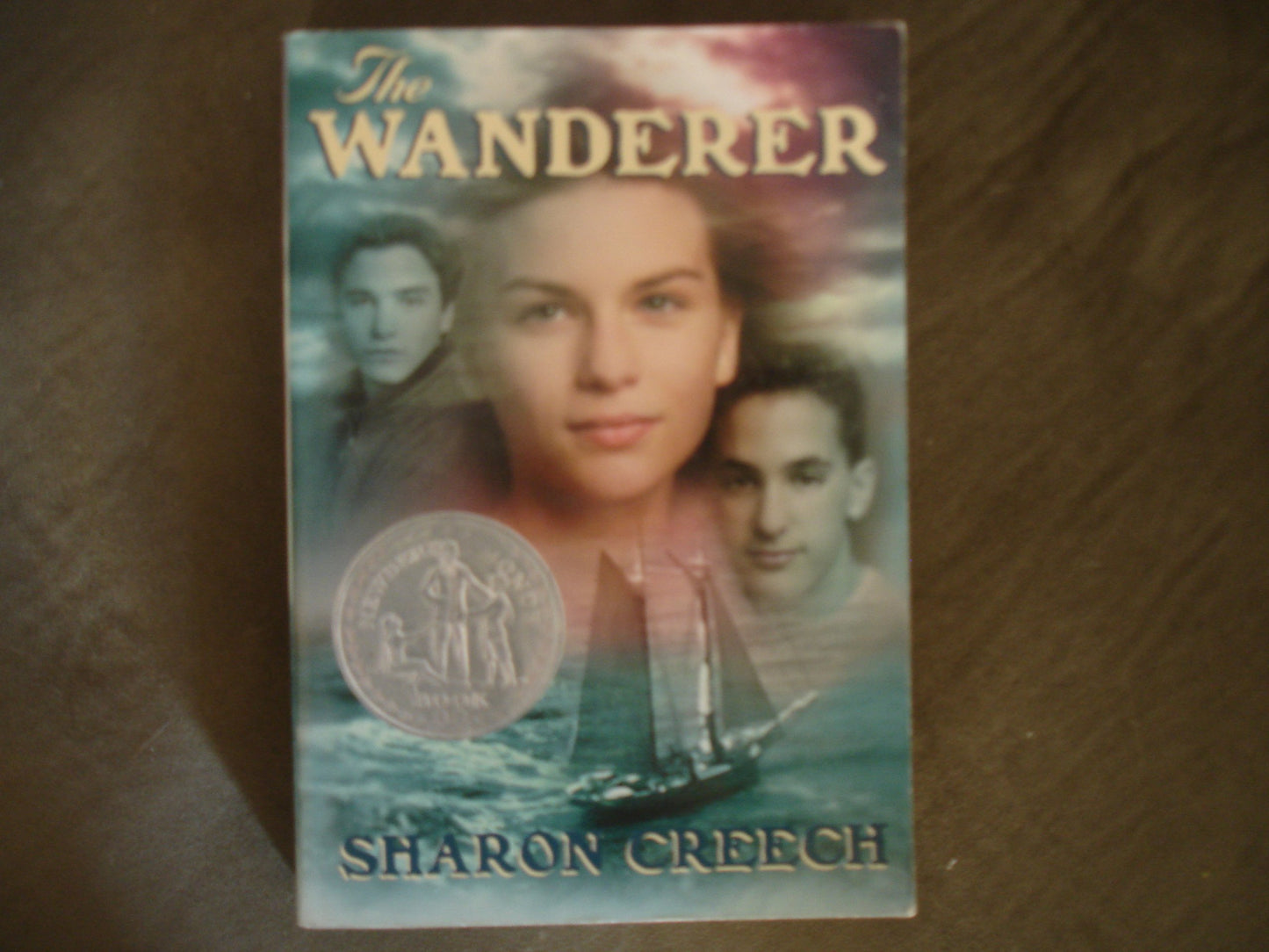 The Wanderer book cover