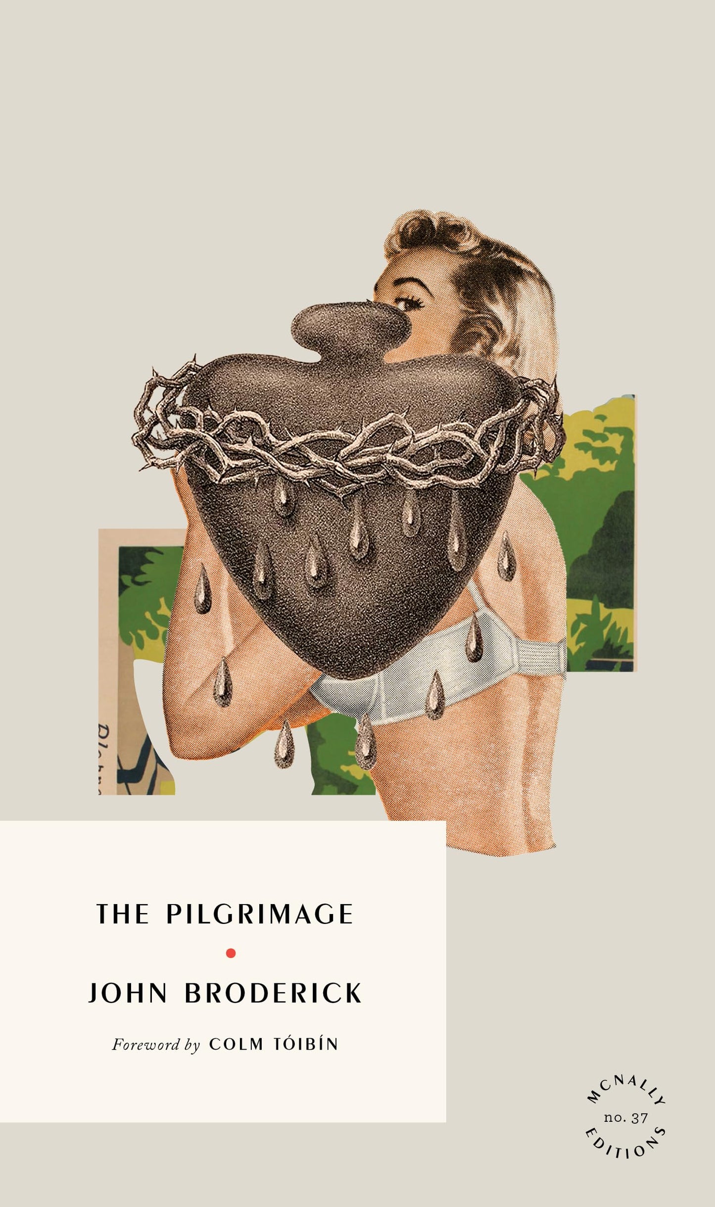 The Pilgrimage book cover