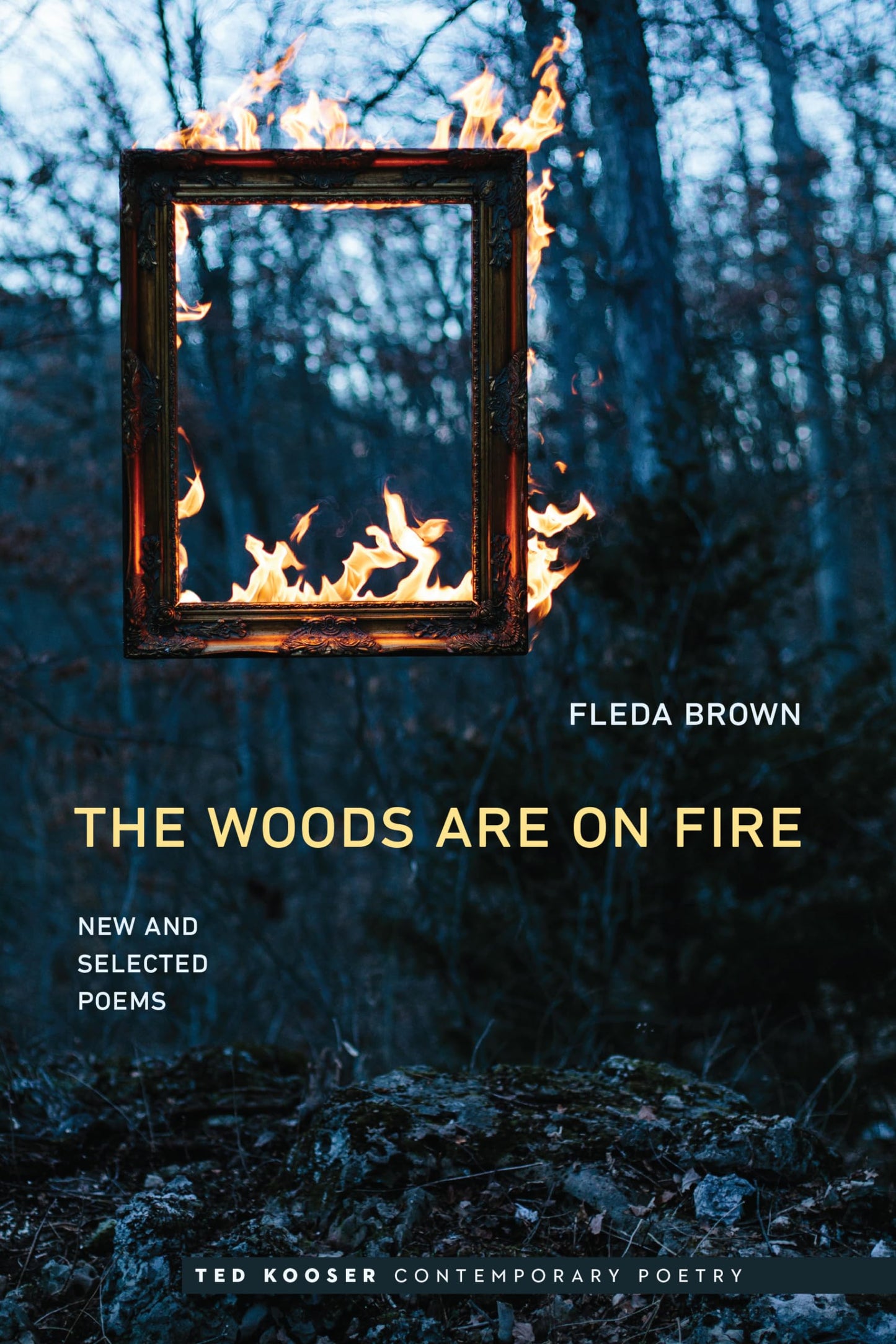 Woods Are on Fire: New and Selected Poems book cover