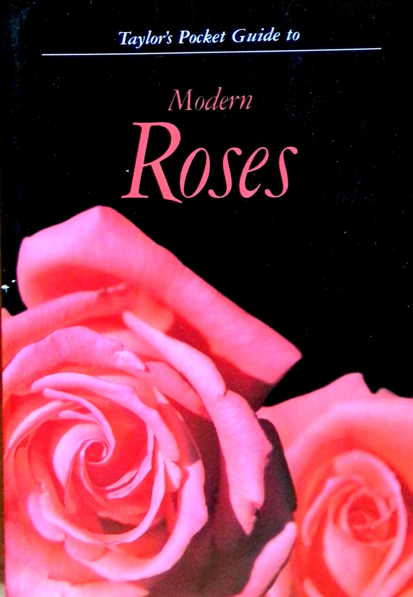 Taylor's Pocket Guide to Modern Roses book cover