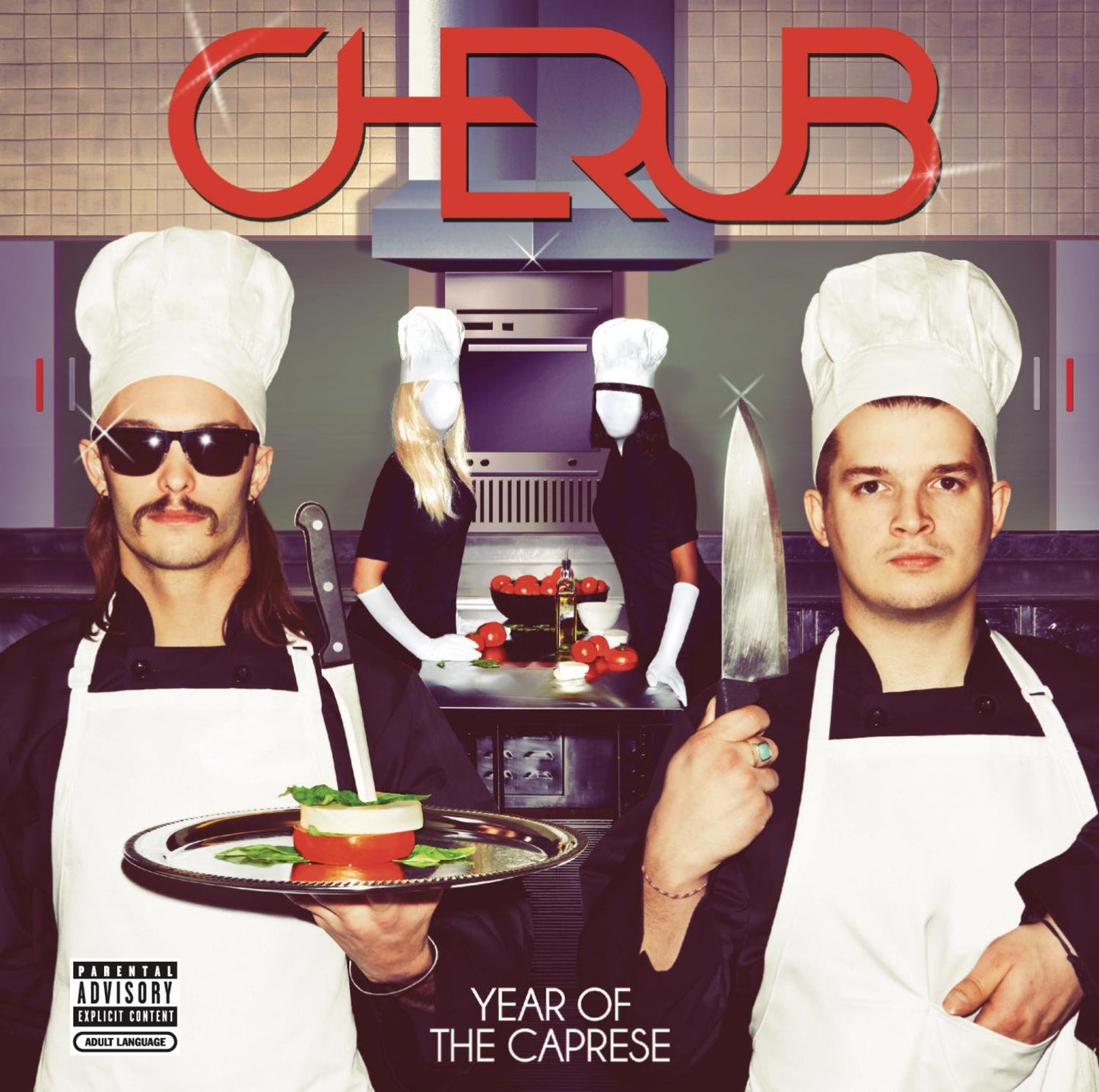 Year of the Caprese book cover