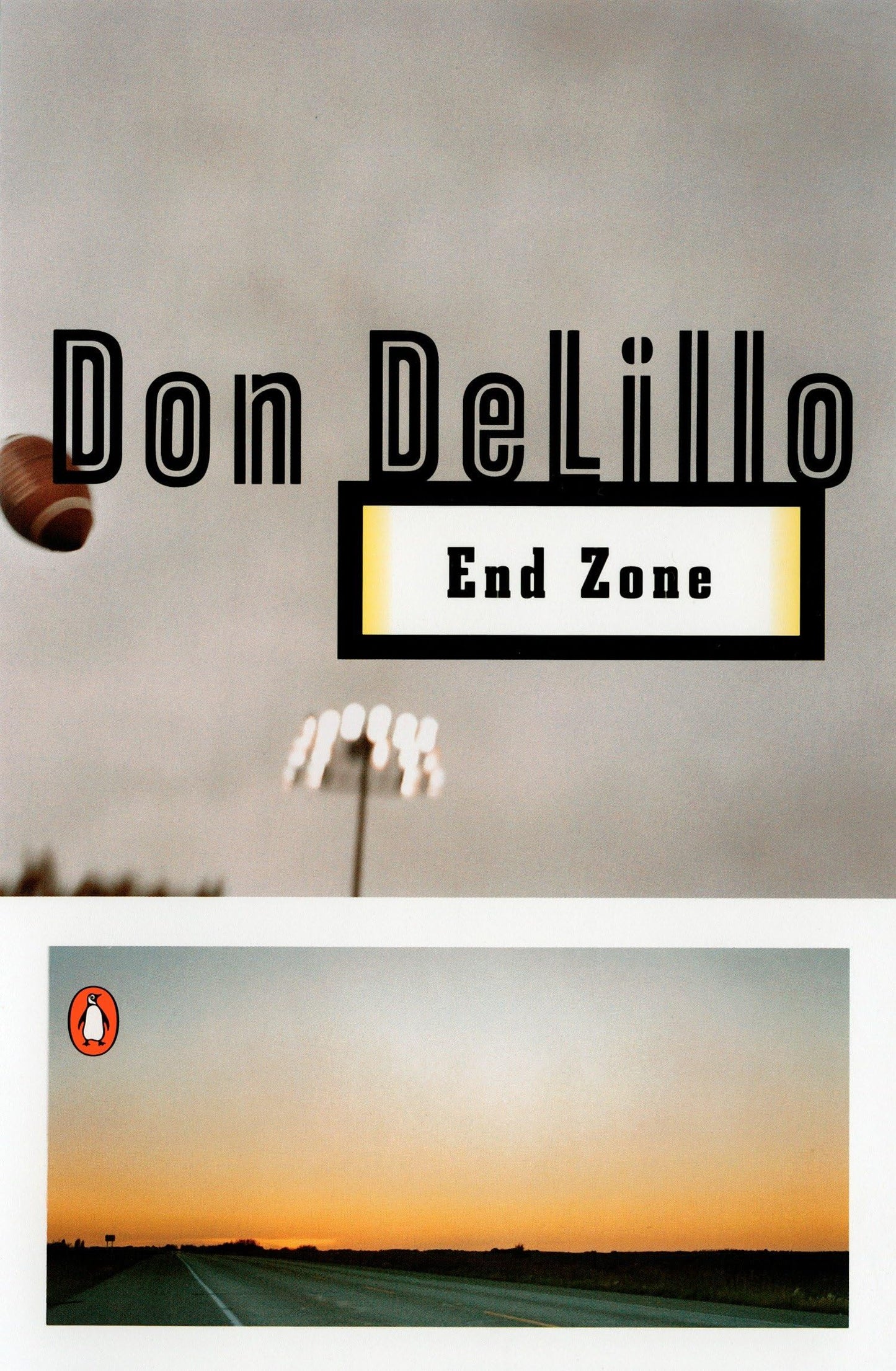 End Zone book cover