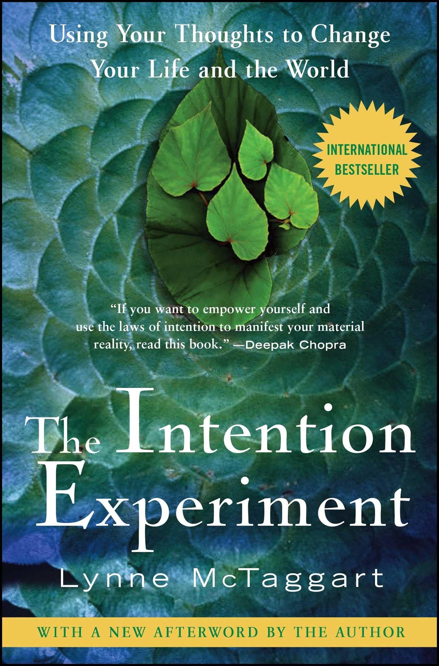 Intention Experiment: Using Your Thoughts to Change Your Life and the World book cover